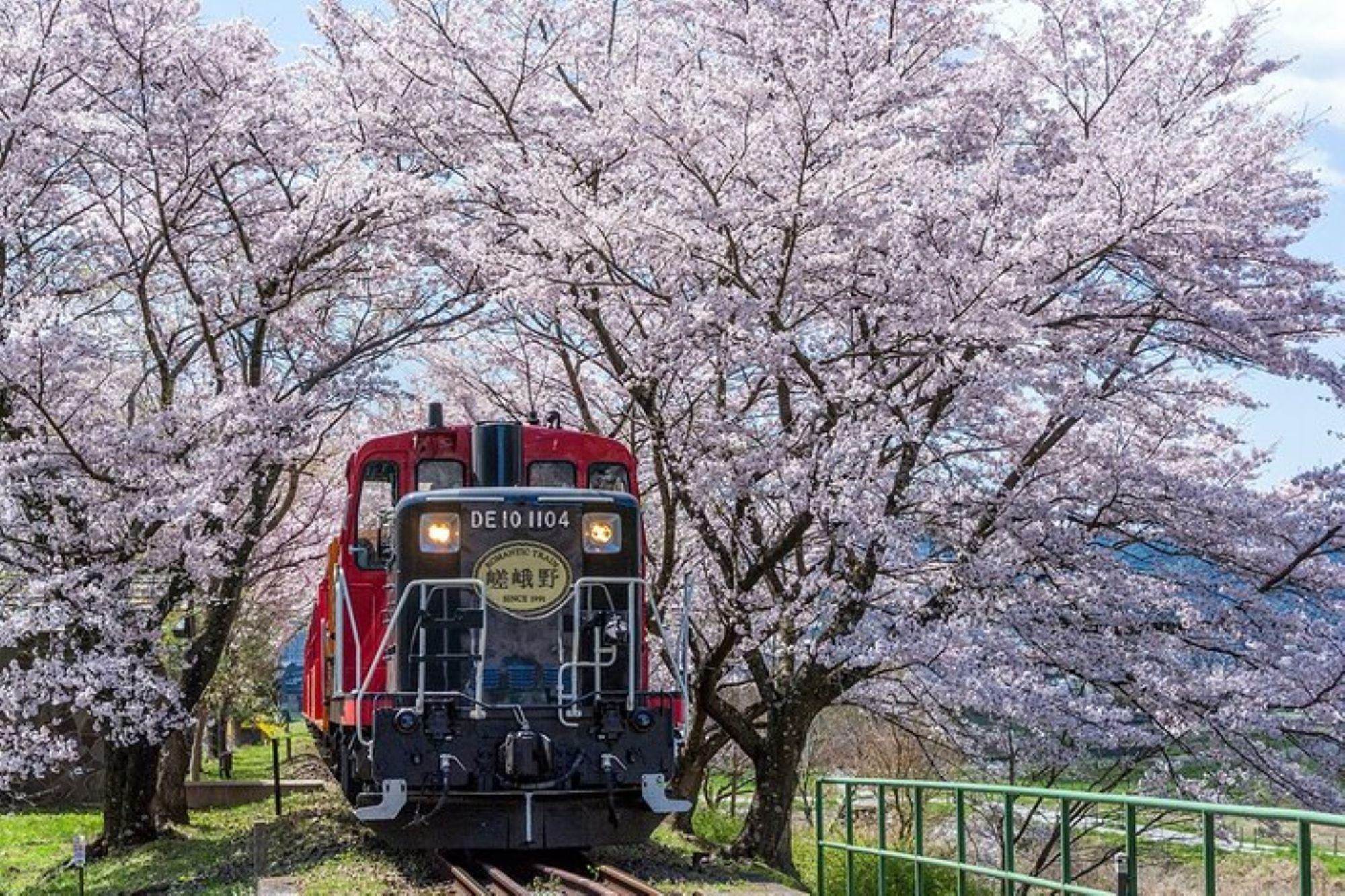 Kyoto Sagano Romantic Train & Hozugawa River Boat Adventure