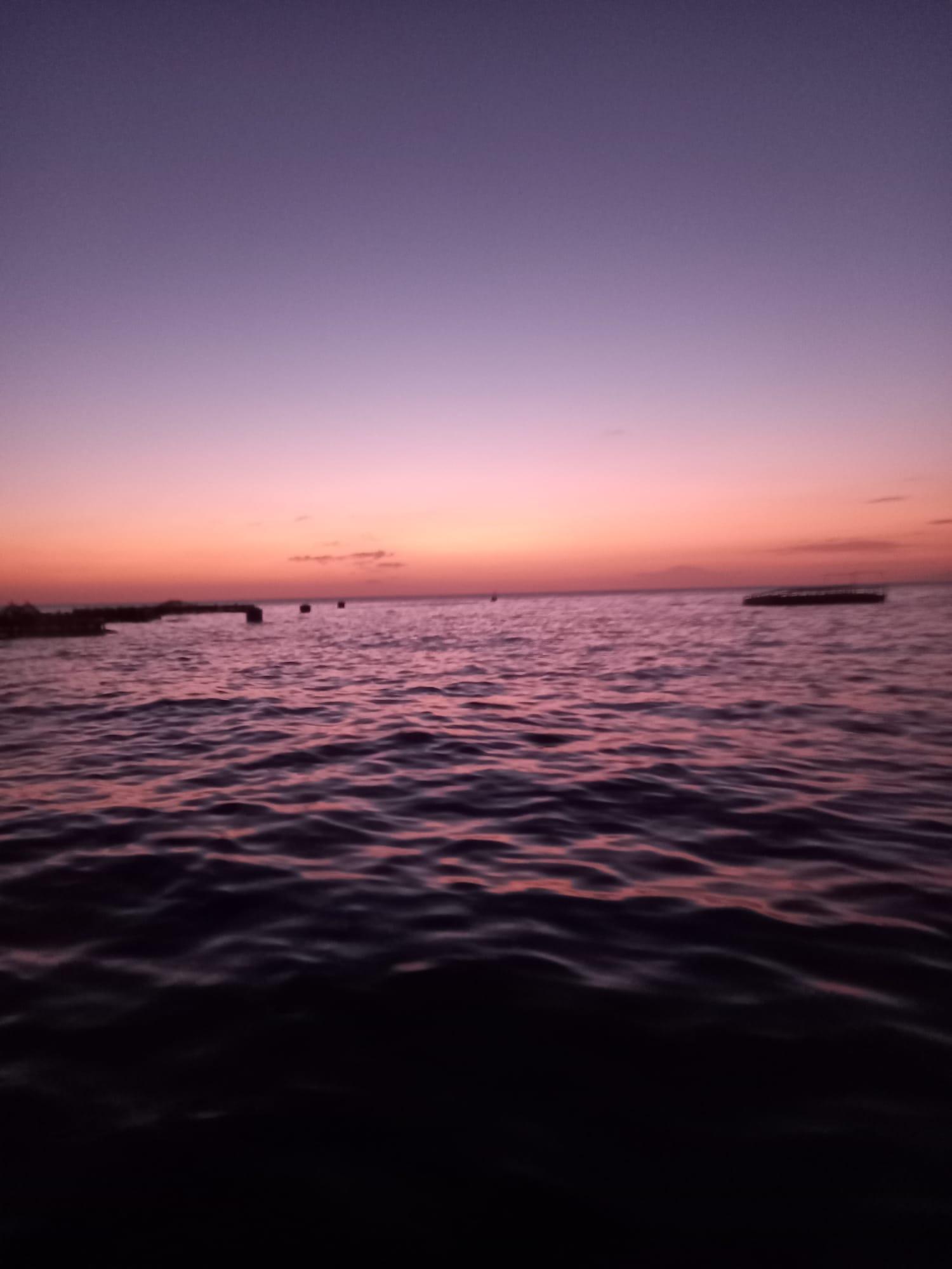 Luxury Whale Watching Safari in South Tenerife