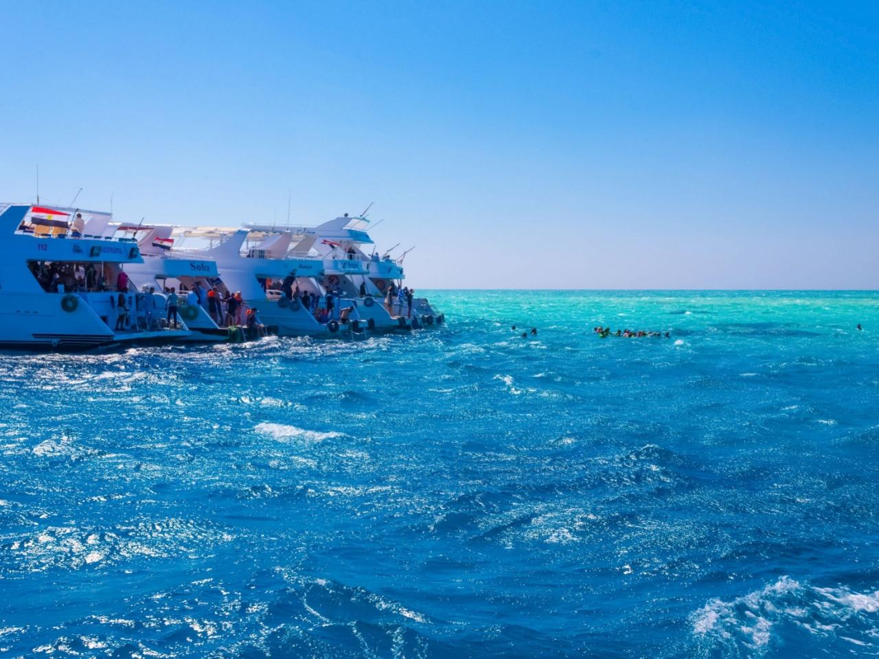 Ras Mohamed & White Island Full-Day Snorkel, Dive & Cruise from Sharm