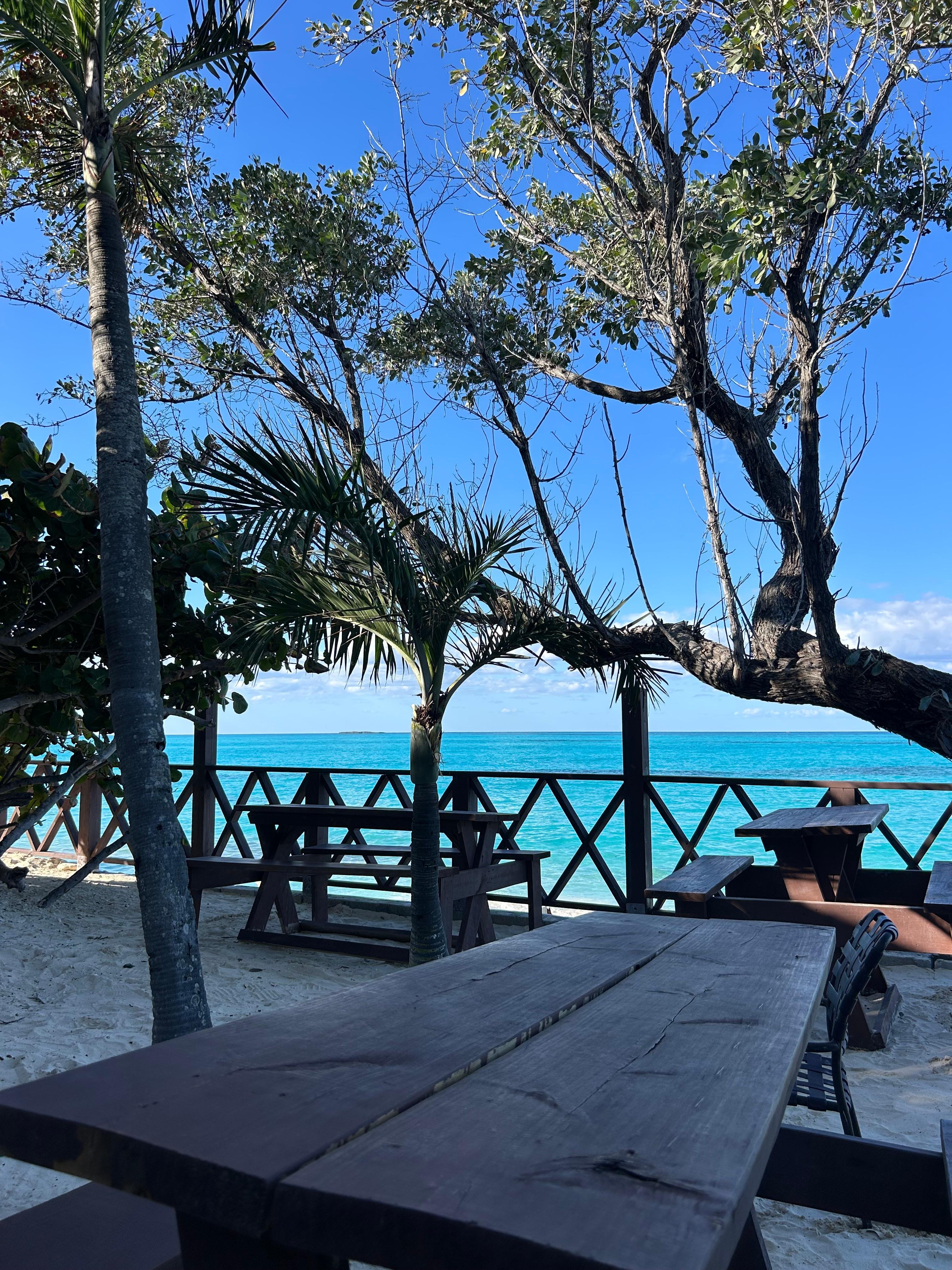 Nassau Powerboat Adventure: Snorkeling, Green Cay Turtles & Private Beach Club