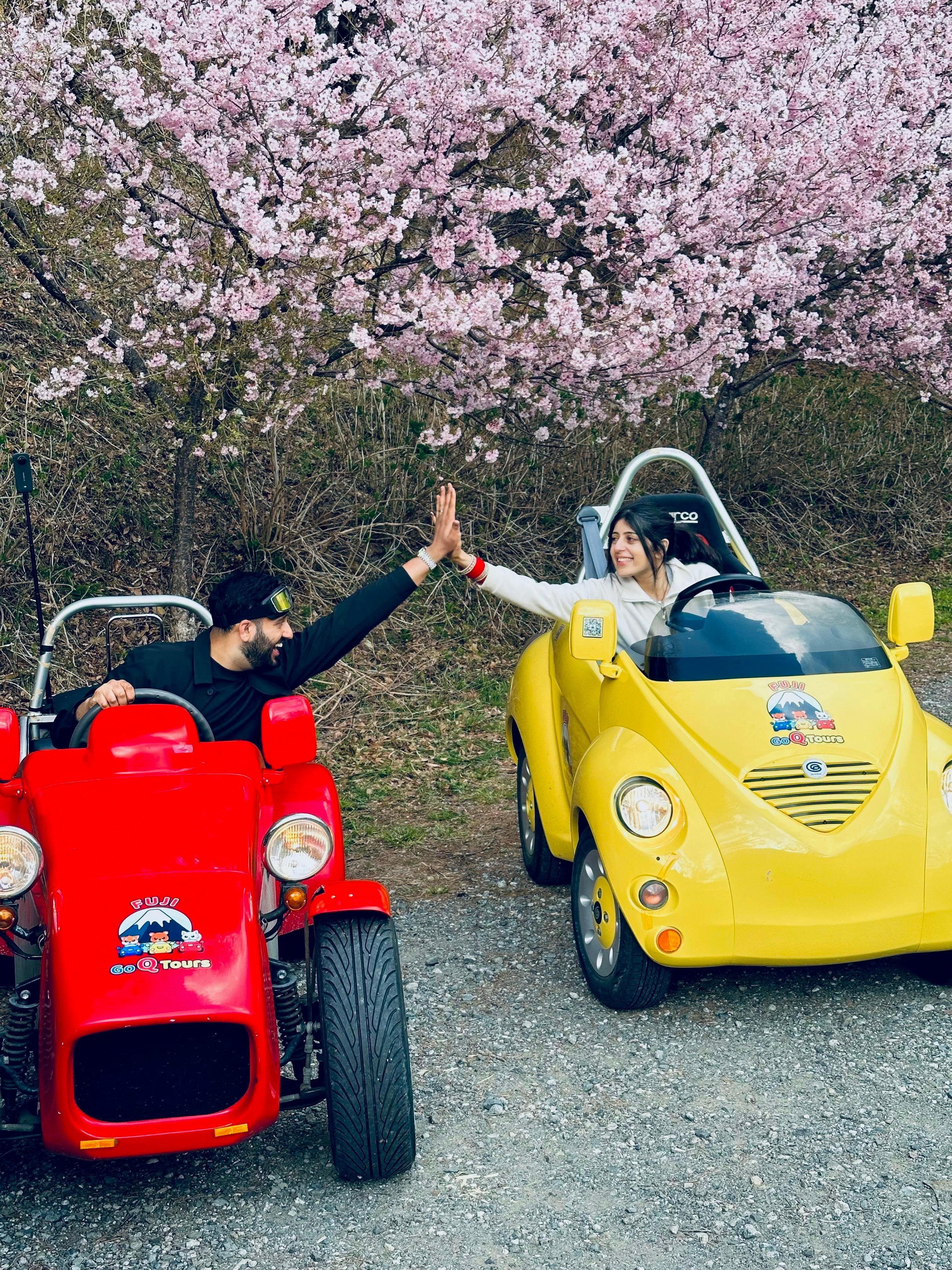 Lake Kawaguchiko Electric Mini Car Guided Tour