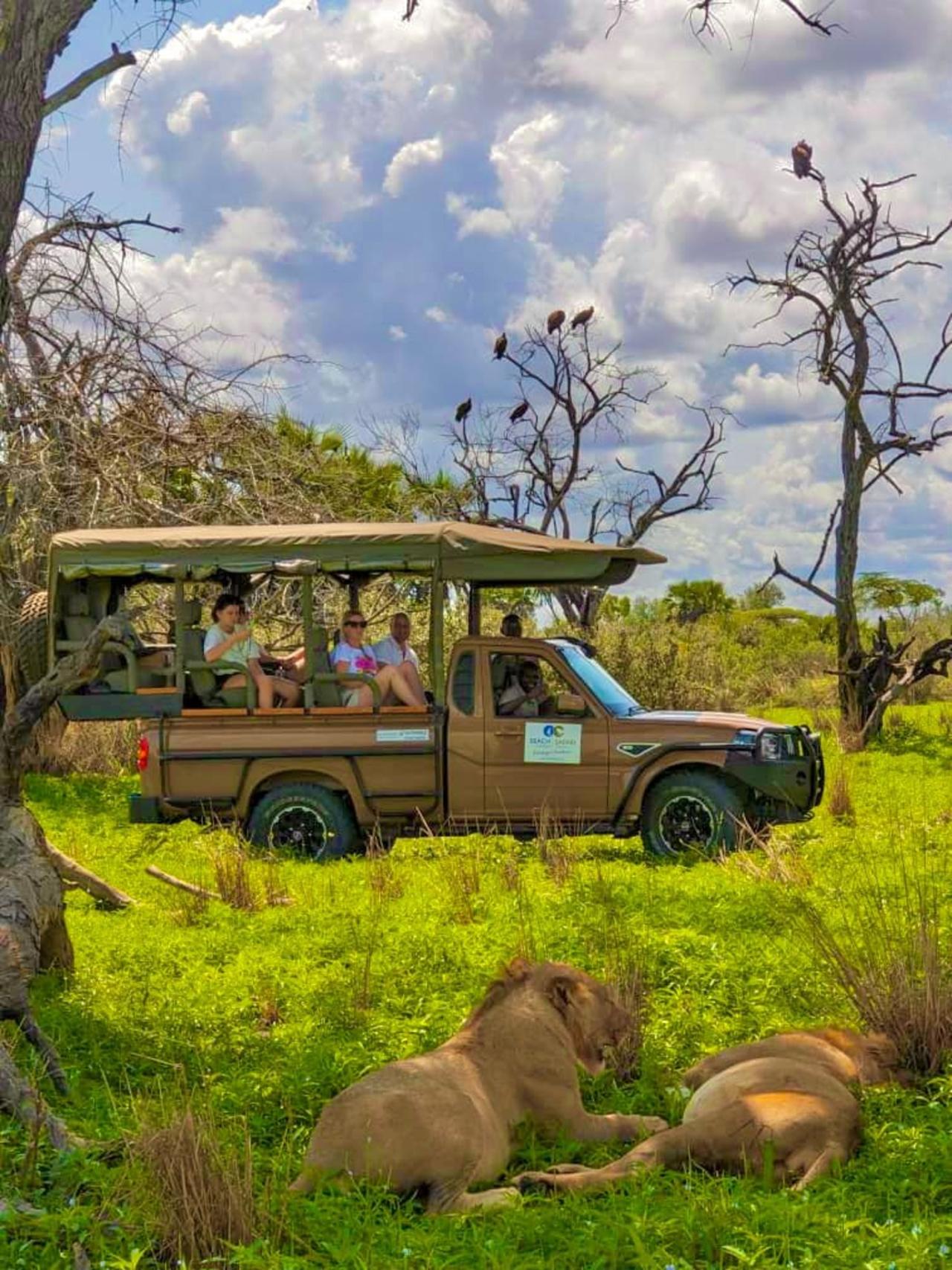 Zanzibar to Selous: Full-Day Safari with Bush Lunch (+ 2-Day Option)