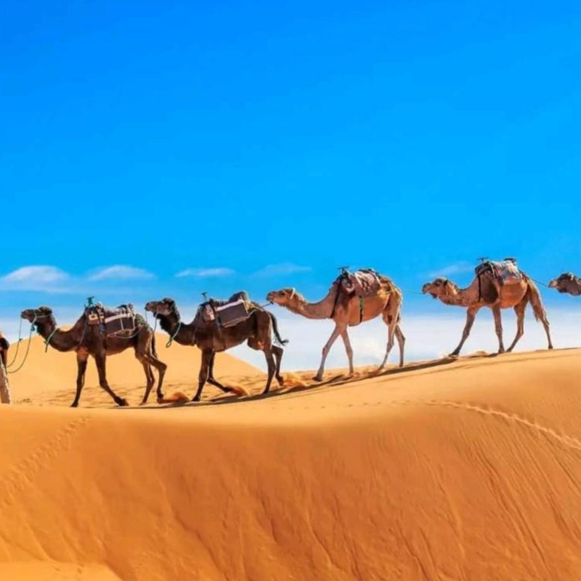 Merzouga Sahara Overnight: Camel Trek & Luxury Desert Camp