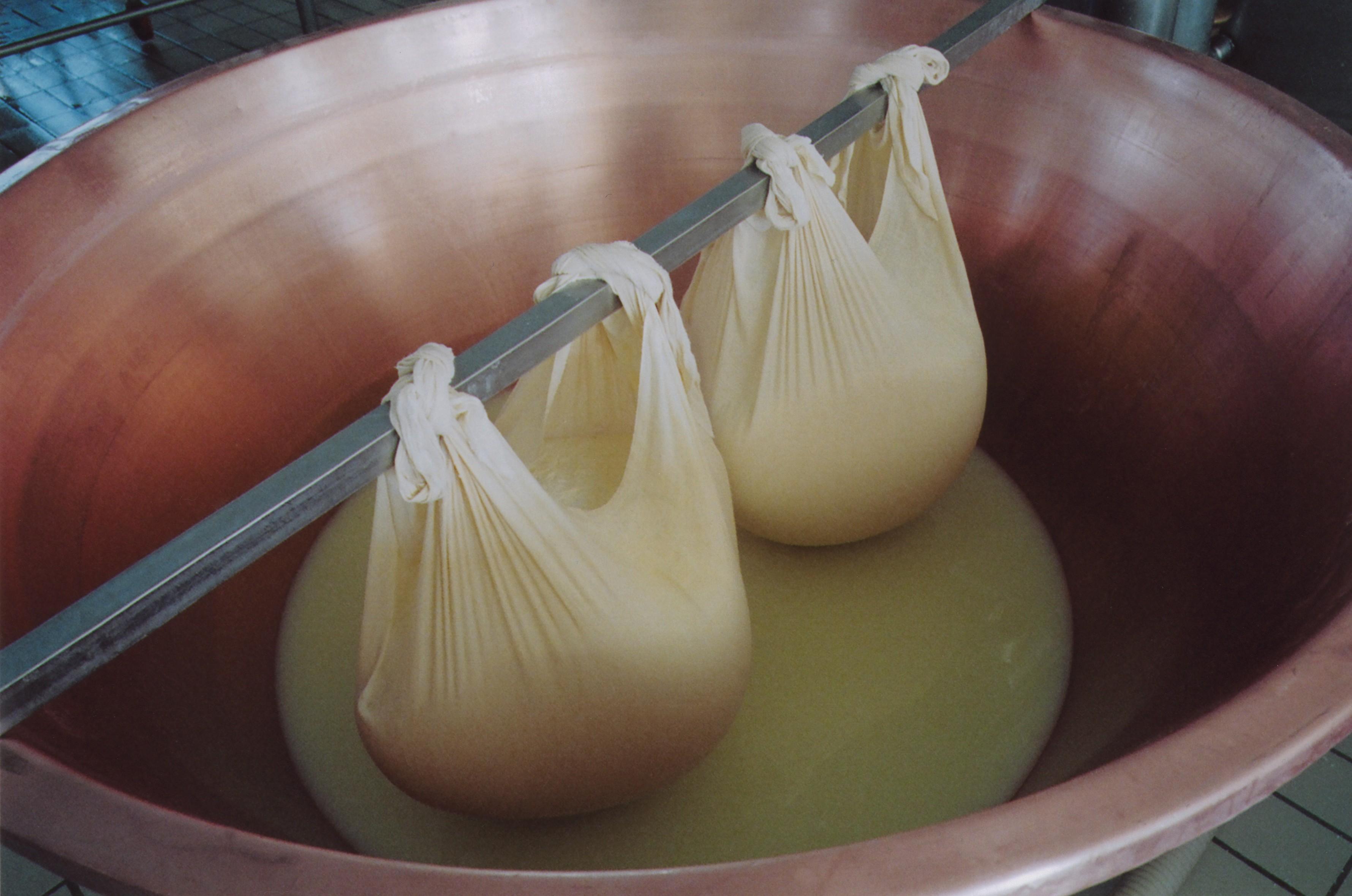 Parmesan factory tour — Parmigiano Reggiano dairy and ageing wheels — image 10