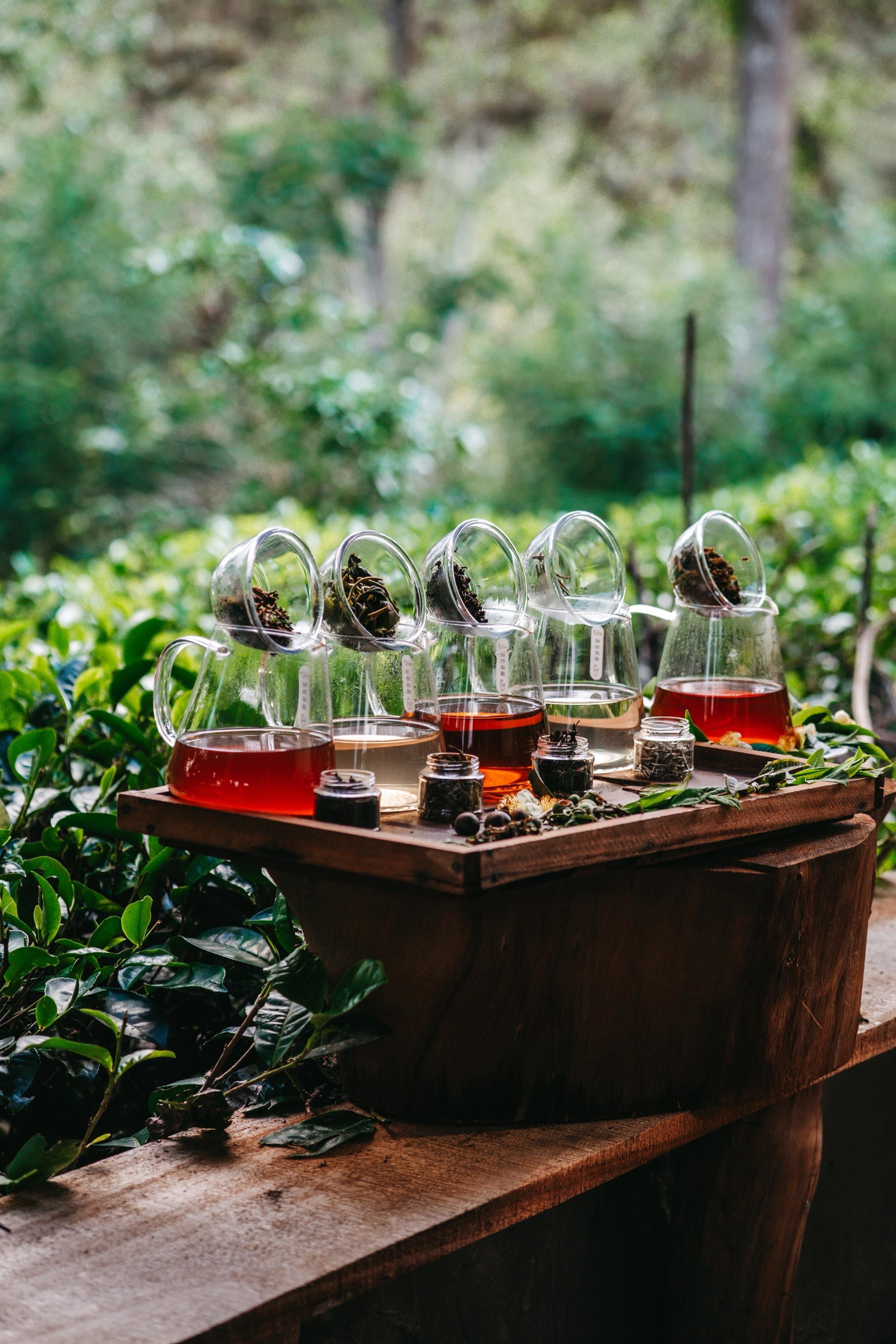 Ella: Hands-On Tea Crafting and Tasting Experience