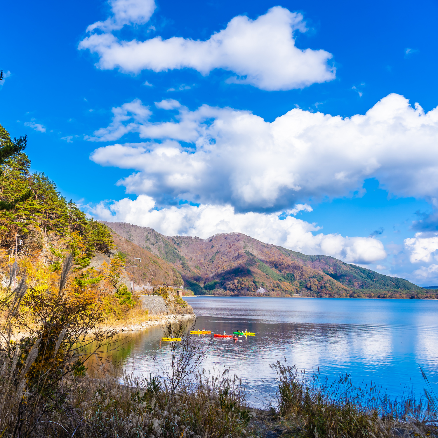 Private Nikko Day Tour from Tokyo – Fully Customizable