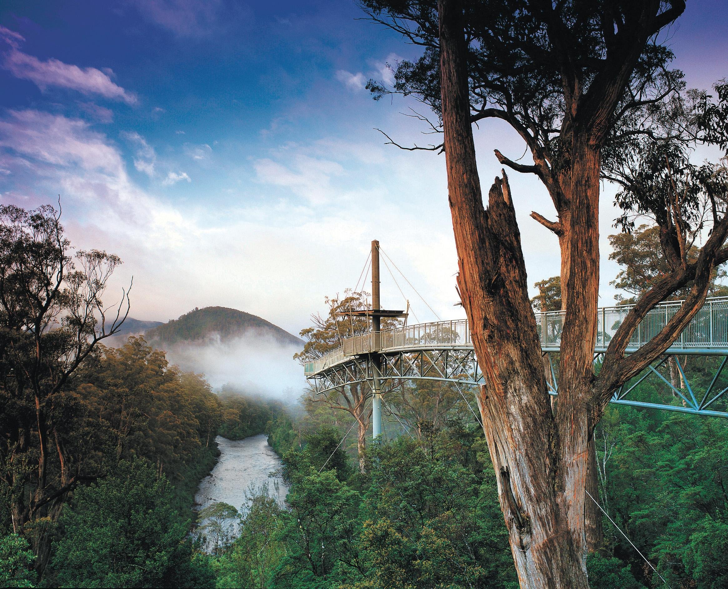 Tasmania Deep South Discovery: Caves, Treetop Walks & Cider Tasting