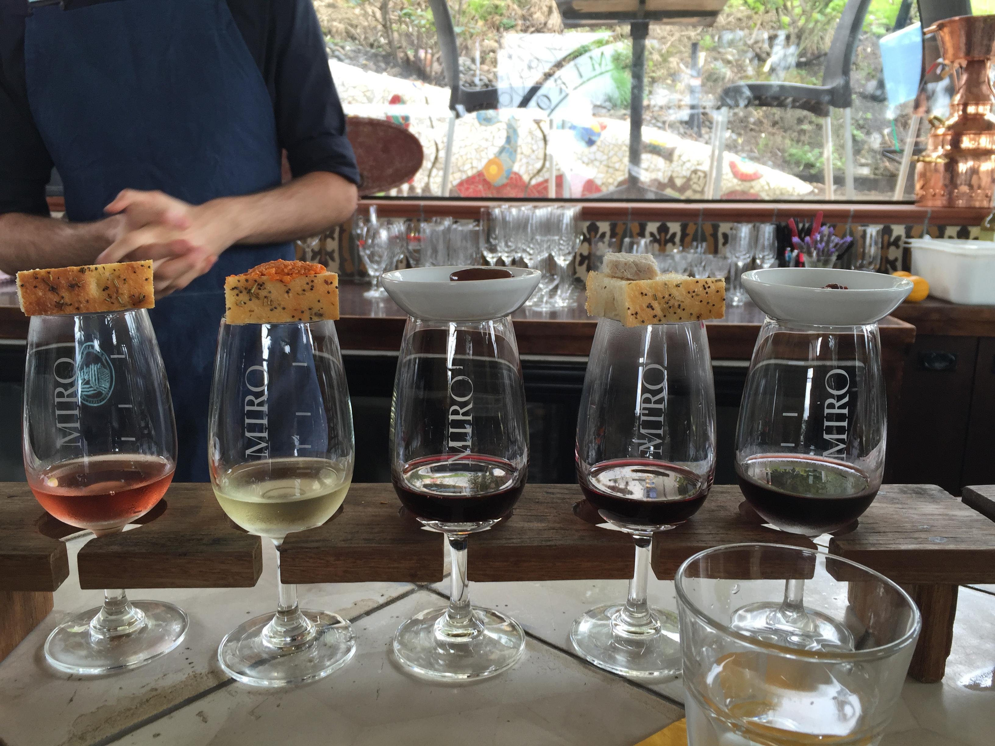 Waiheke Island Premium Small-Group Wine Tasting Tour