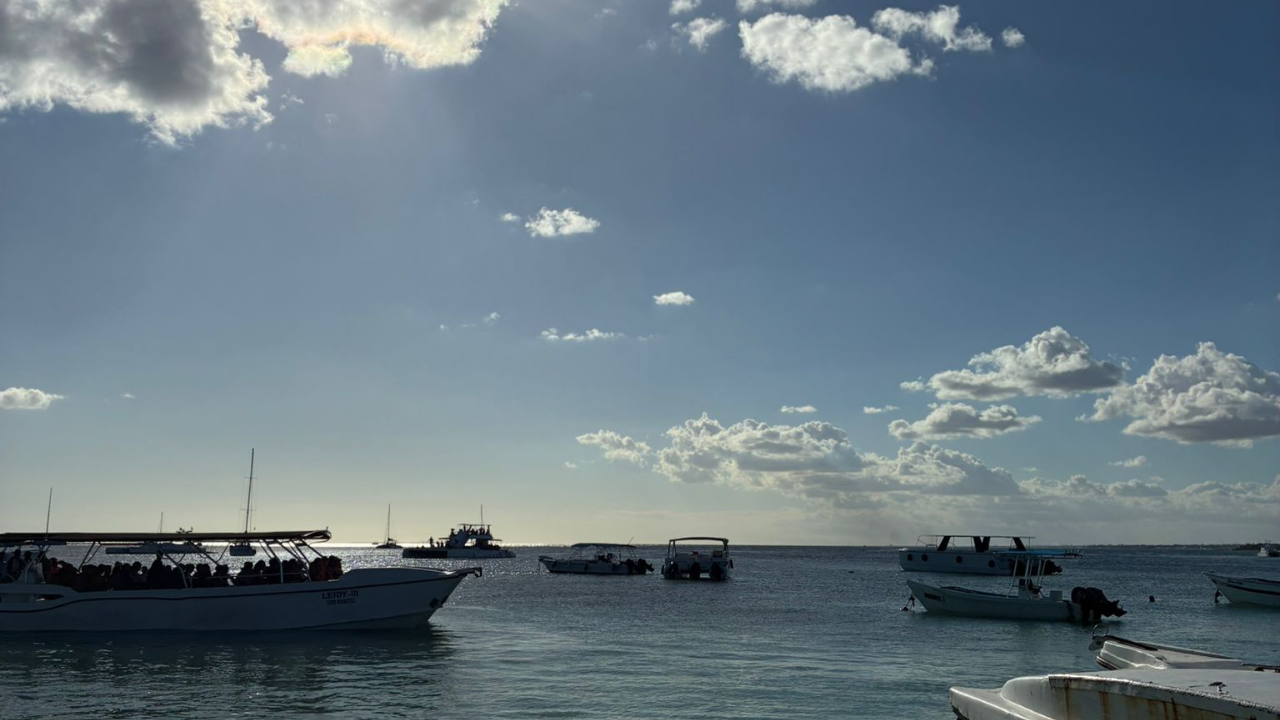 Saona Island Catamaran Day Trip from Punta Cana with Lunch
