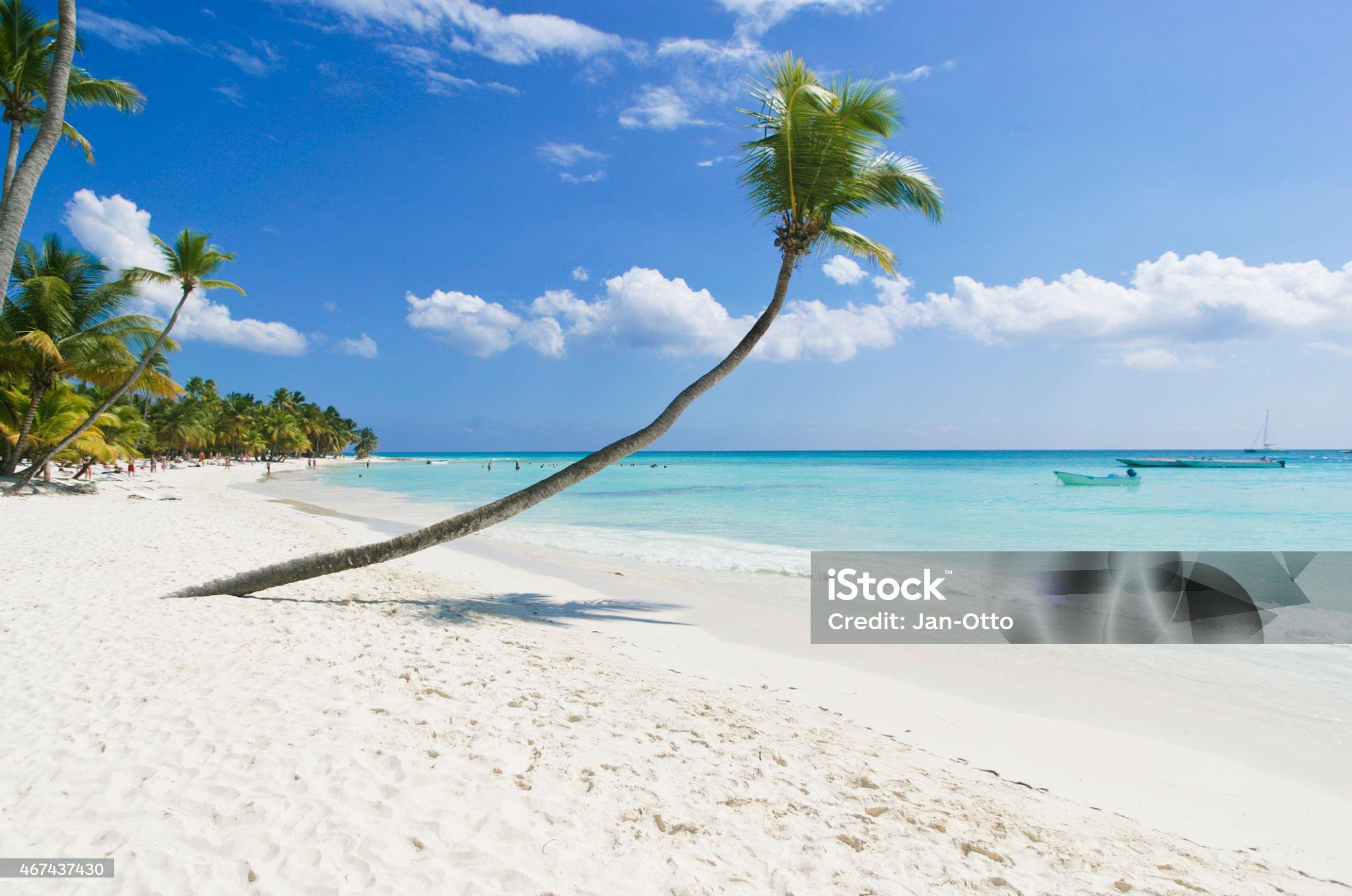 Saona Island Catamaran Day Trip from Punta Cana with Lunch & Open Bar