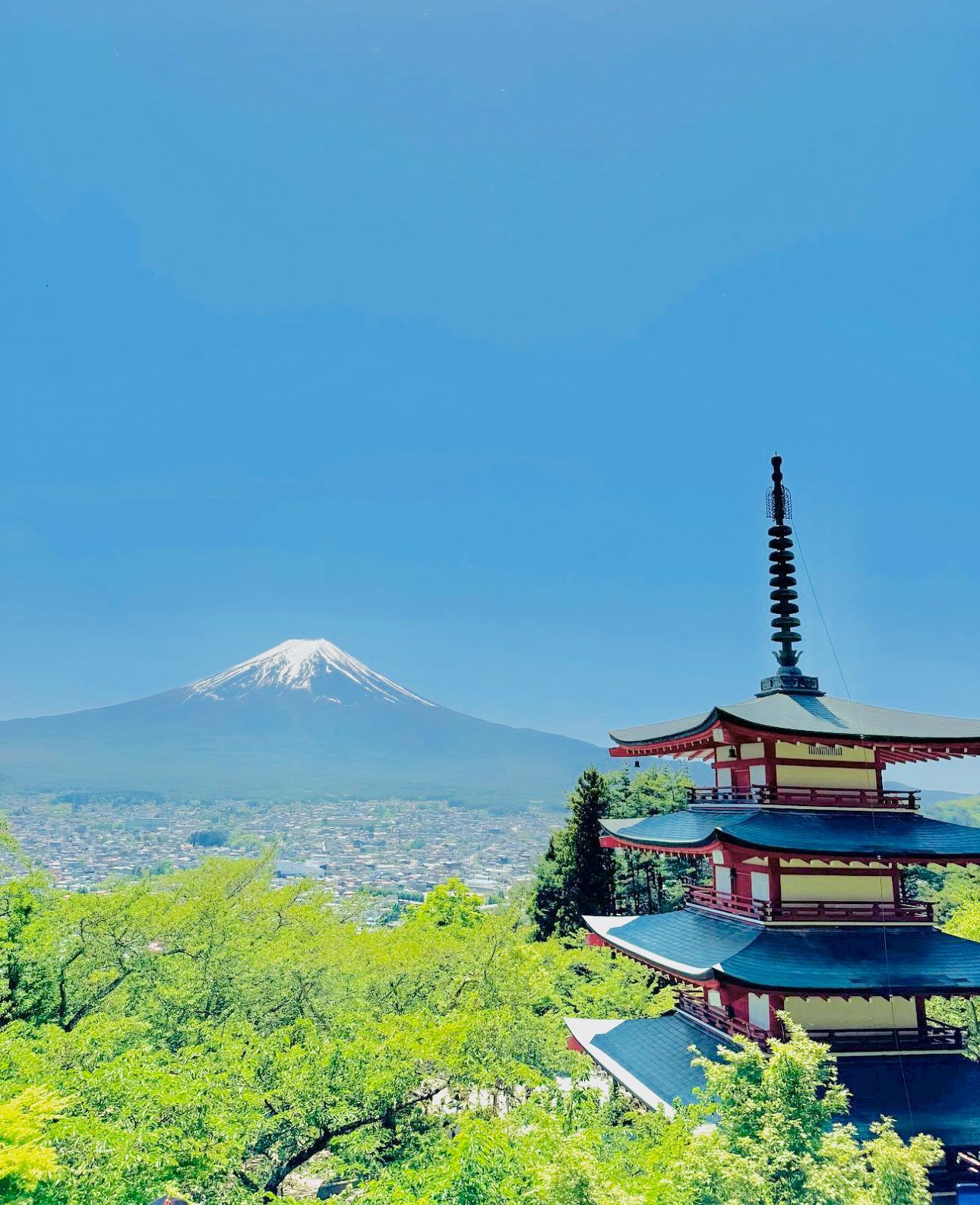 Tokyo to Mt. Fuji & Hakone: Private Full-Day Tour with English Driver