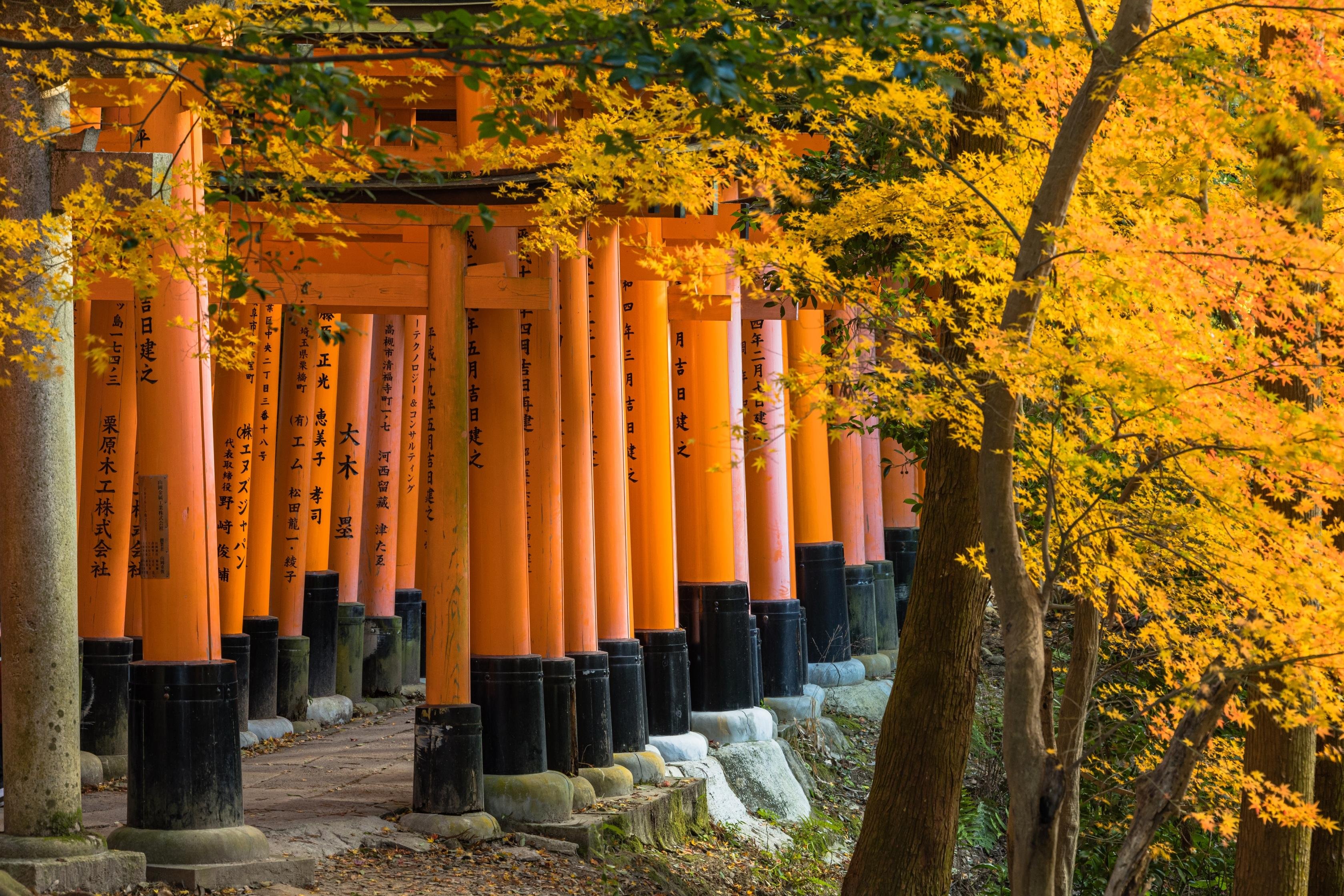 From Osaka/Kyoto: 4 Iconic Kyoto Sights Full-Day Bus Tour