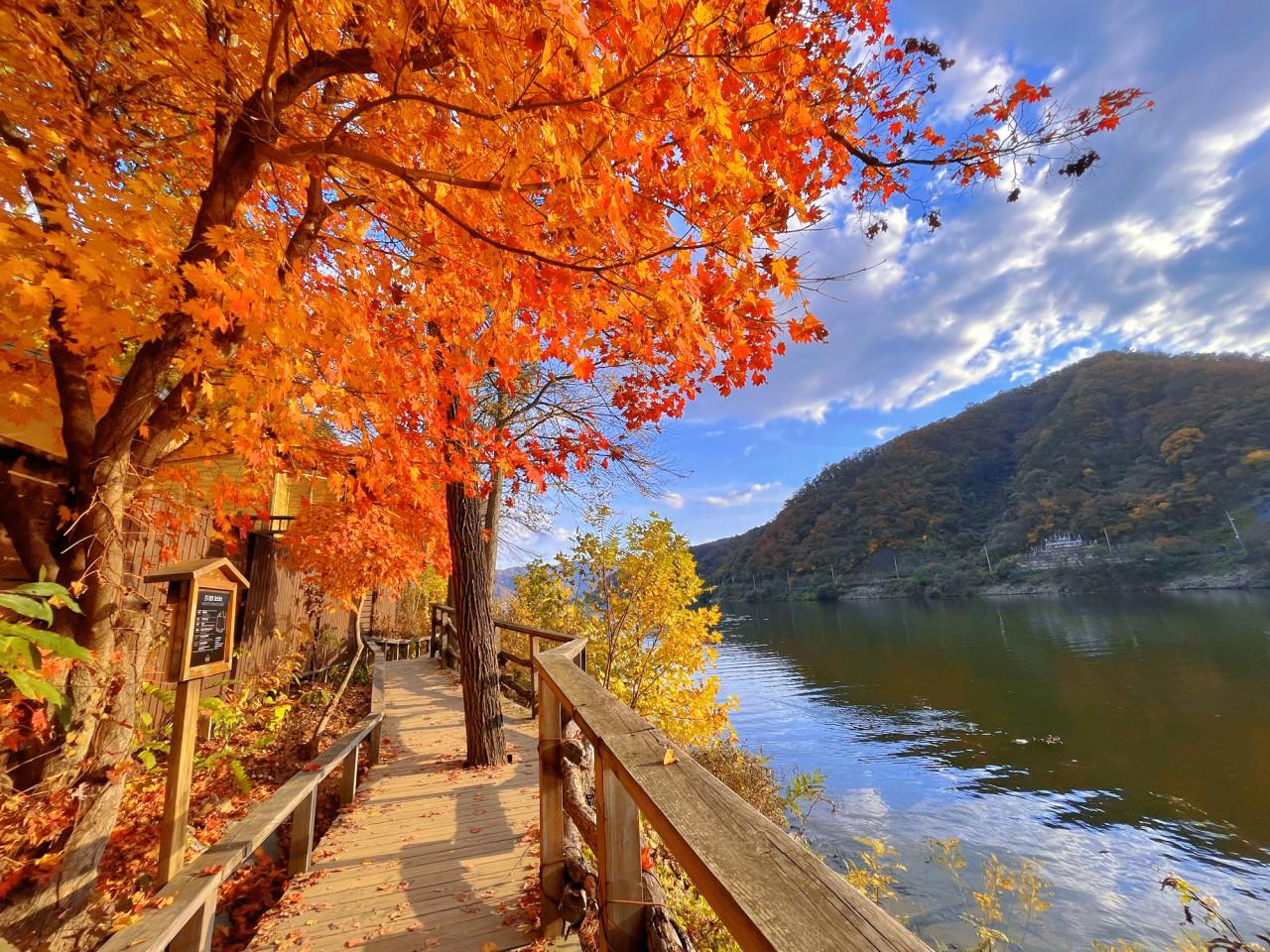 From Seoul: Nami Island, K-Garden and Rail Bike Tour