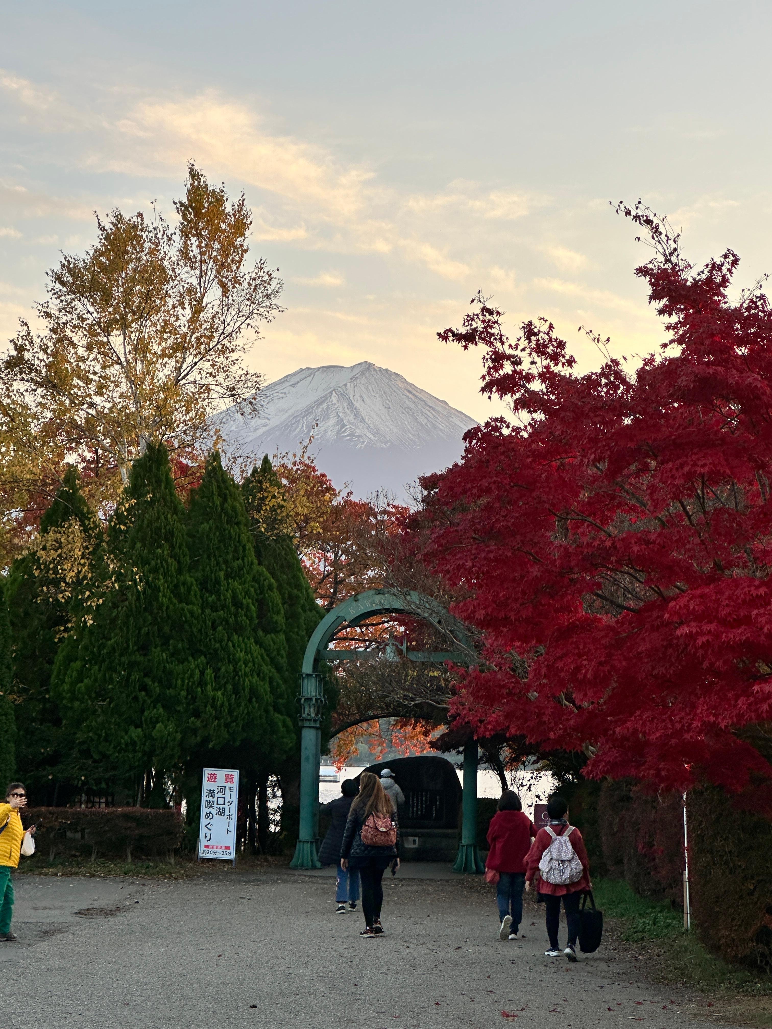 Tokyo to Mt. Fuji Private Luxury Day Tour with Hotel Pickup