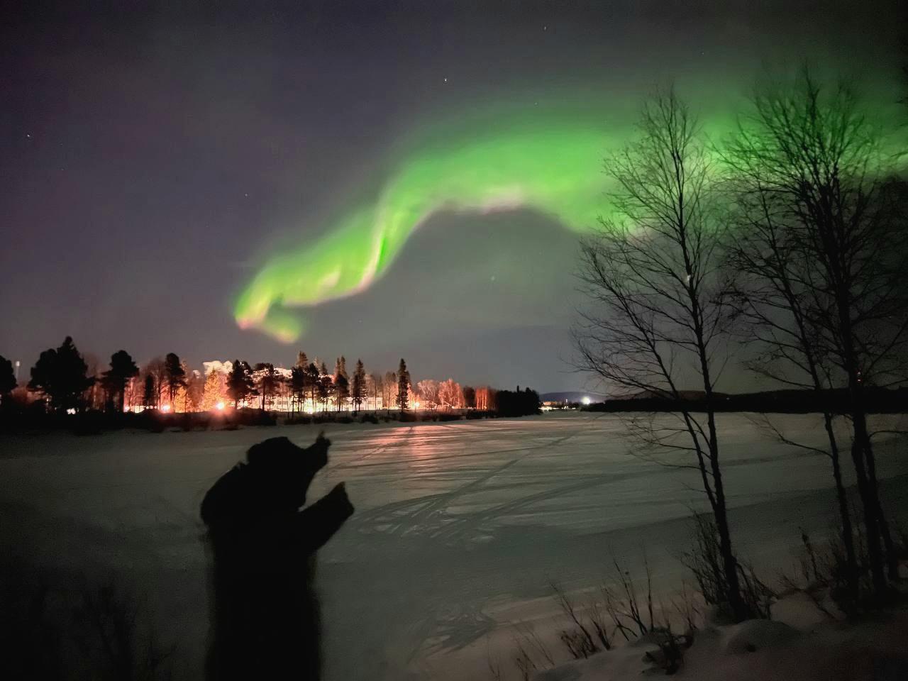 Private Northern Lights Chase from Rovaniemi