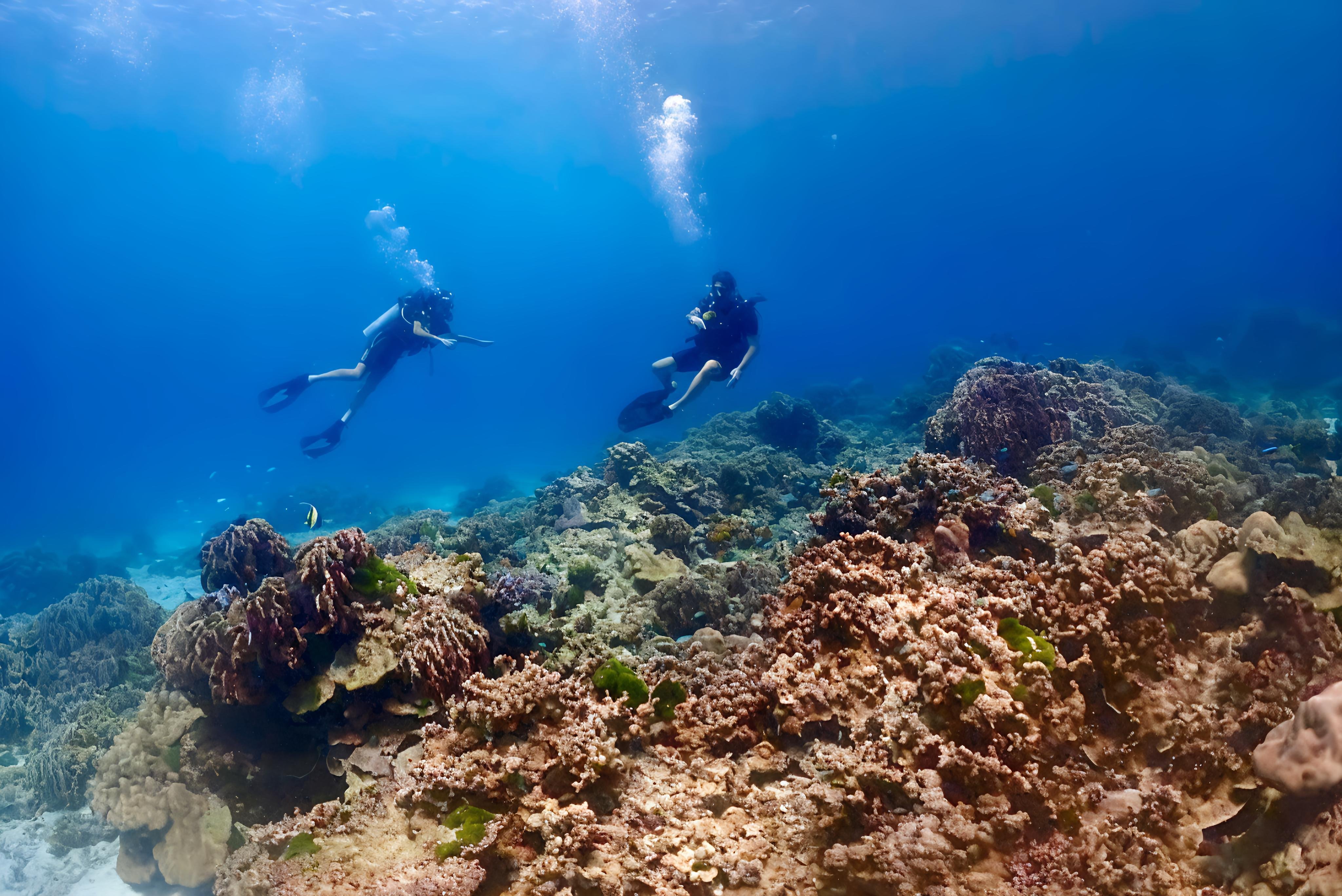 Phuket: Racha & Maiton Islands Scuba Diving for All Levels