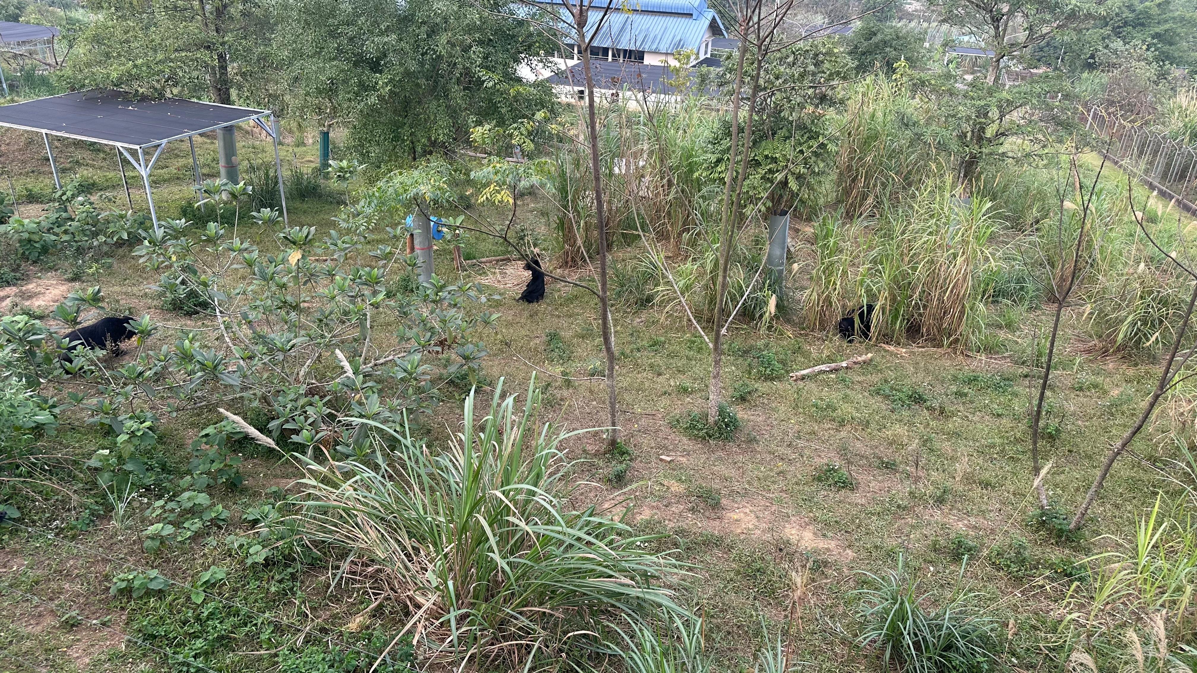 Cuc Phuong National Park Day Trek & Bear Sanctuary from Ninh Binh