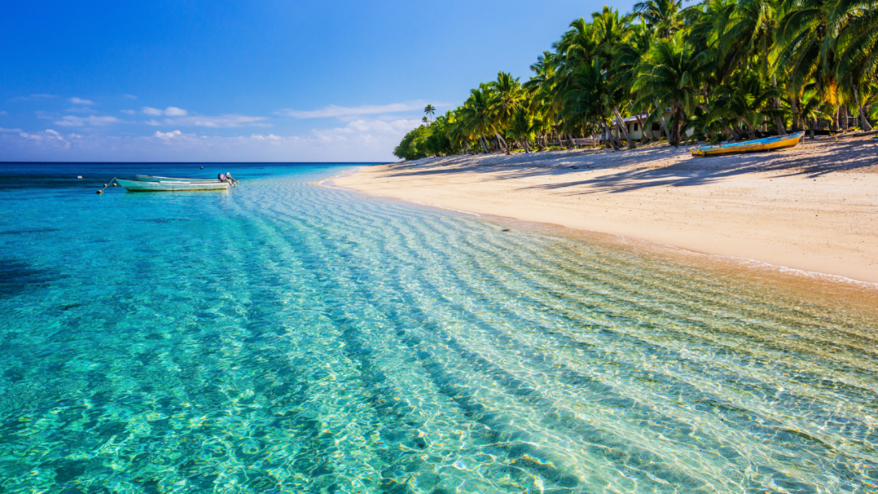 Saona Island Catamaran Day Trip from Punta Cana with Lunch