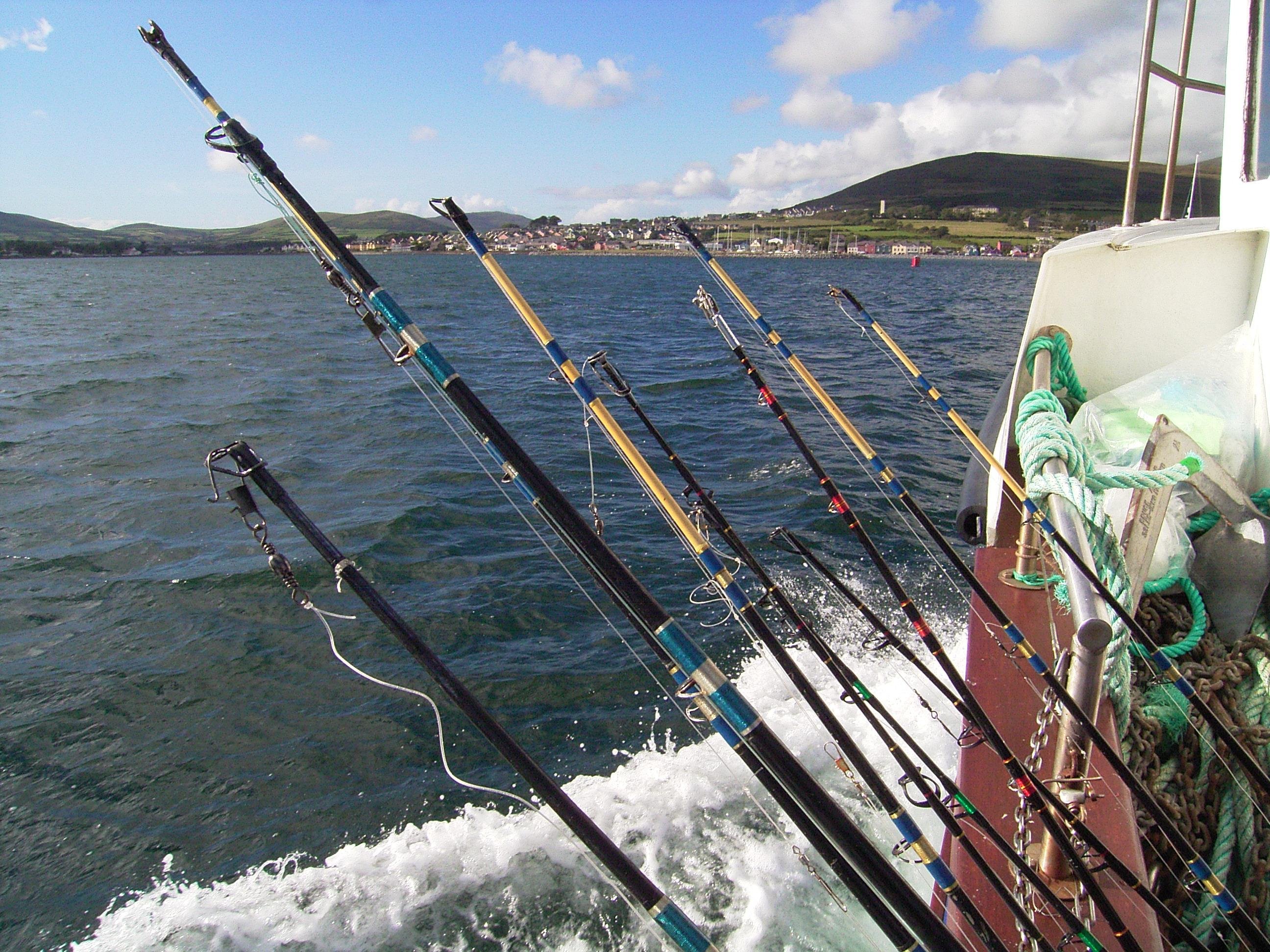 Dingle Bay Deep-Sea Fishing Experience