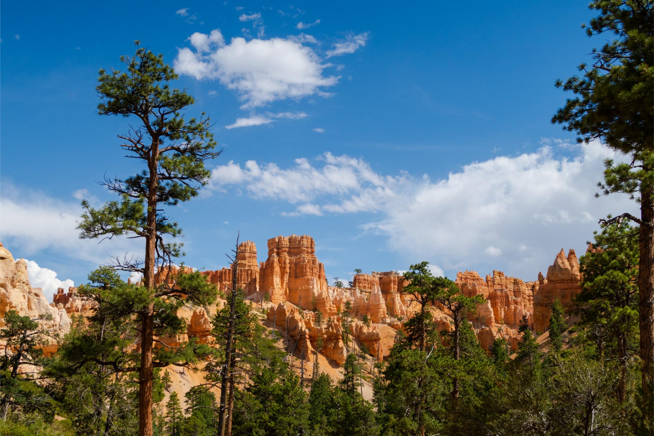 Monument Valley tour from Las Vegas — image 28