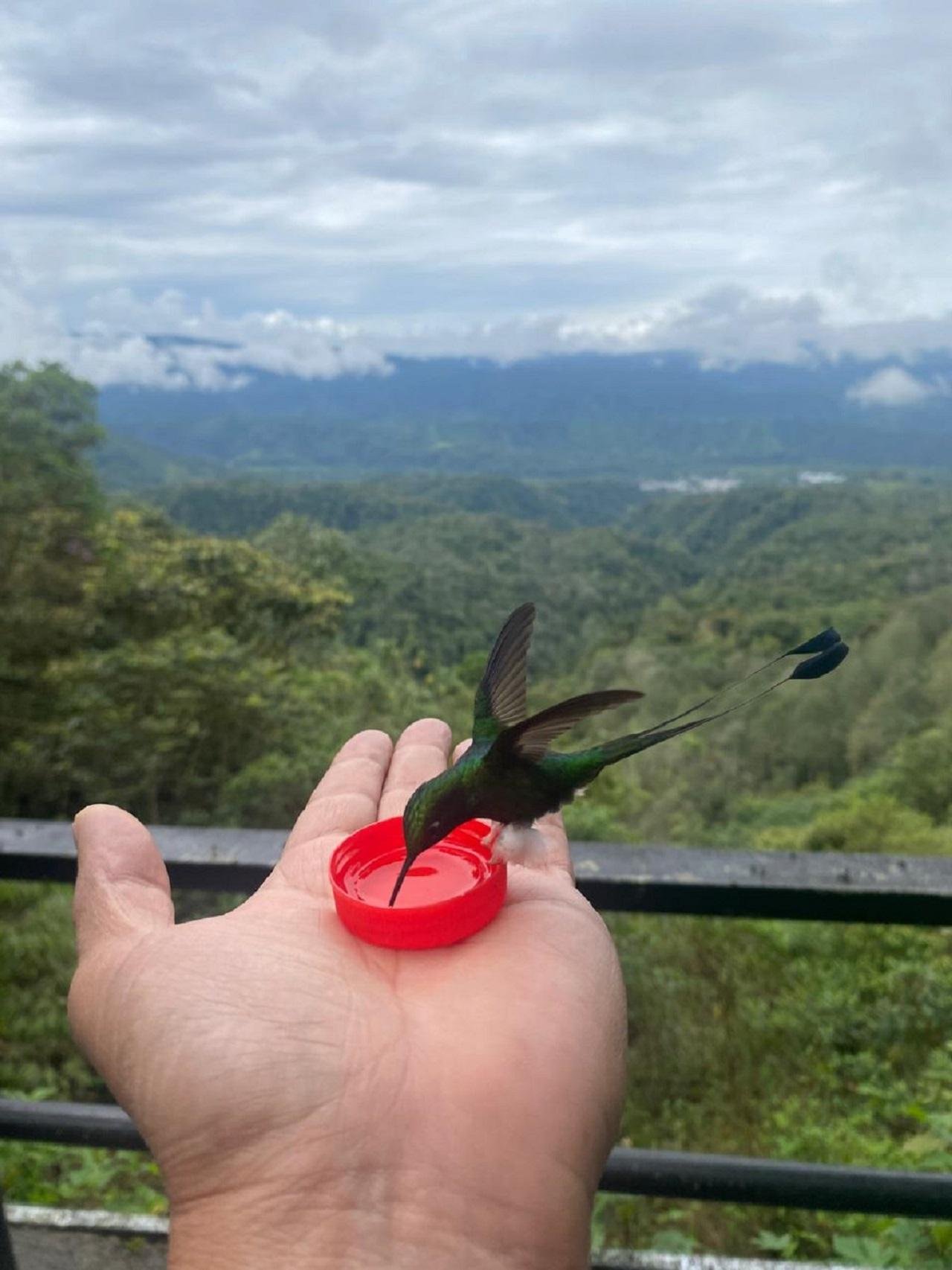 Mindo Cloud Forest Day Trip from Quito