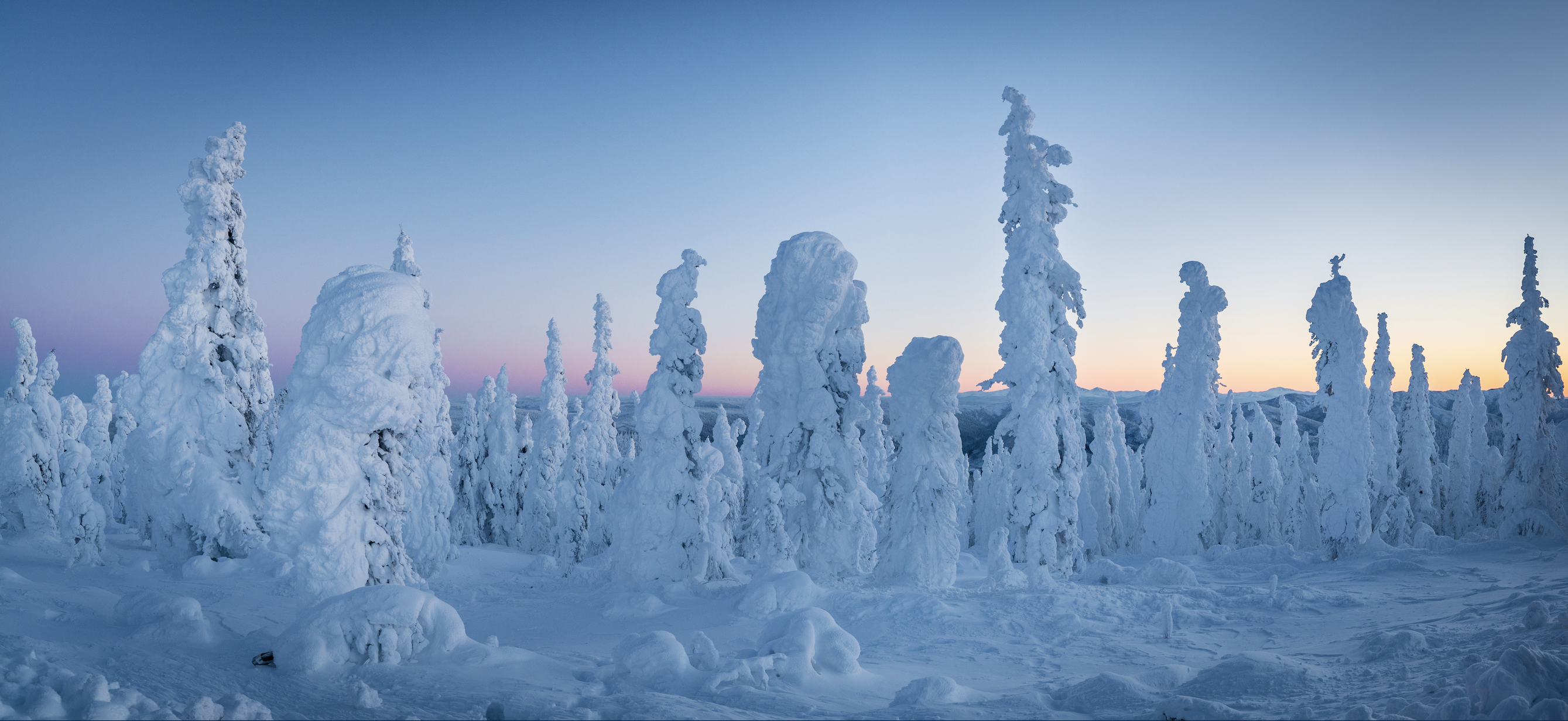Dalton Highway Arctic Circle & Aurora Tour