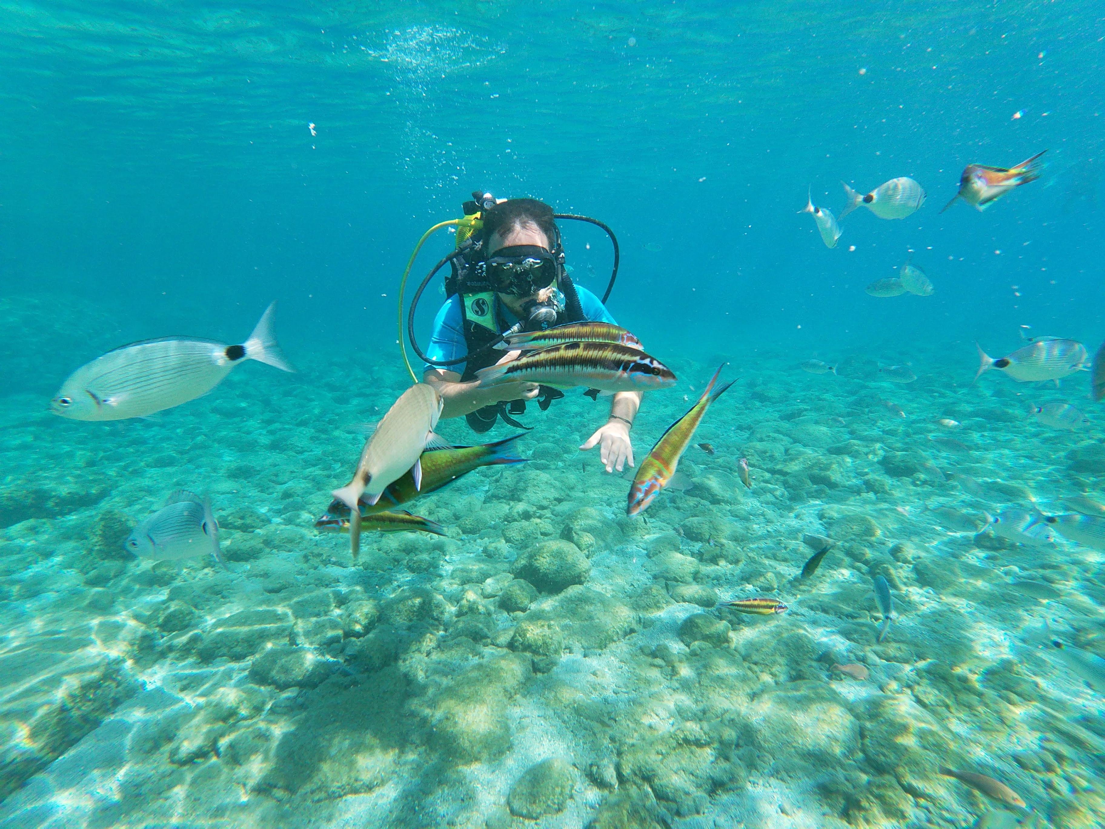 Beginner Scuba Diving Experience in Rhodes