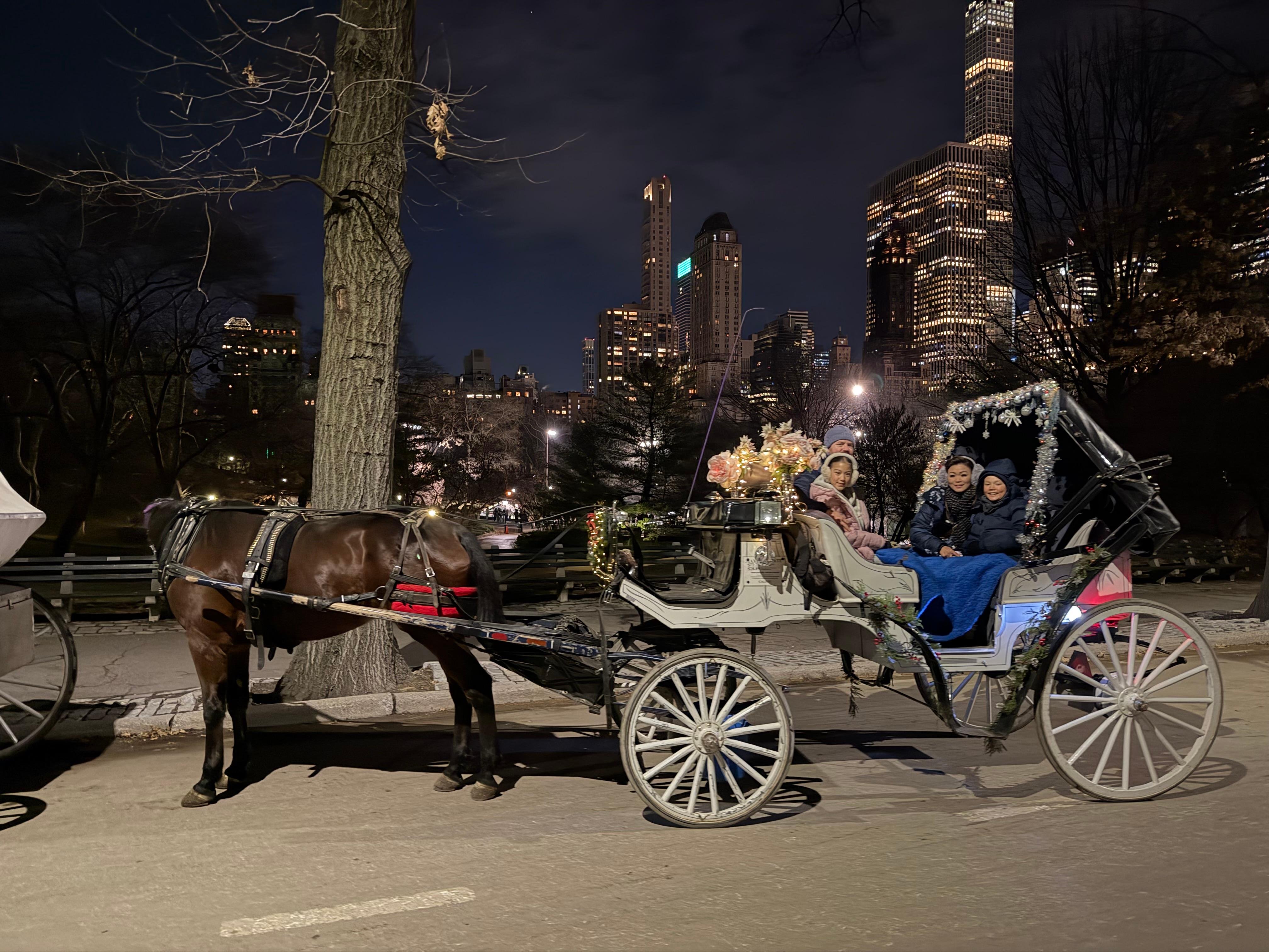 Private Central Park Horse Carriage Tour with Guide