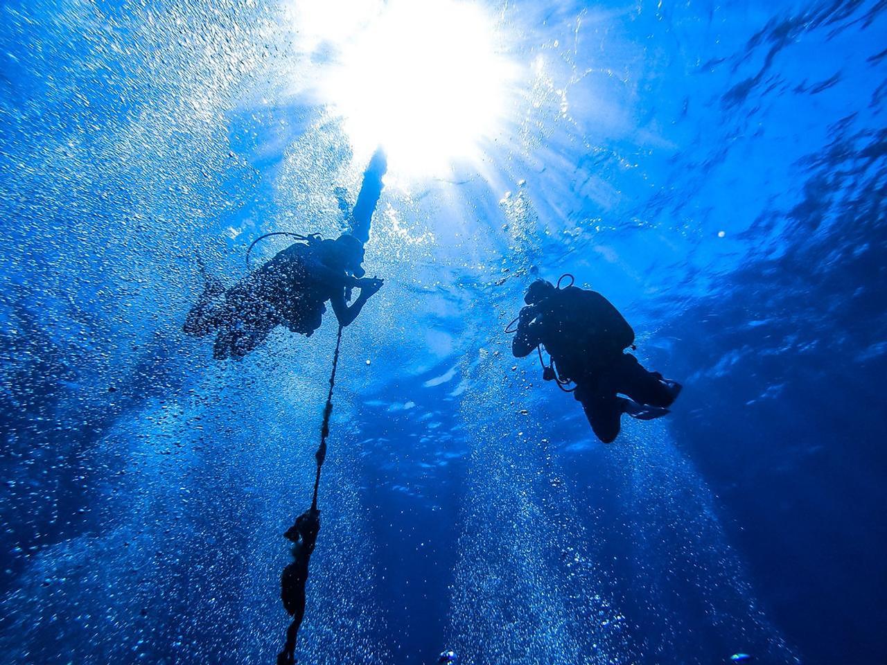 Sharm el-Sheikh: White Island & Ras Mohamed National Park Snorkeling Day Trip