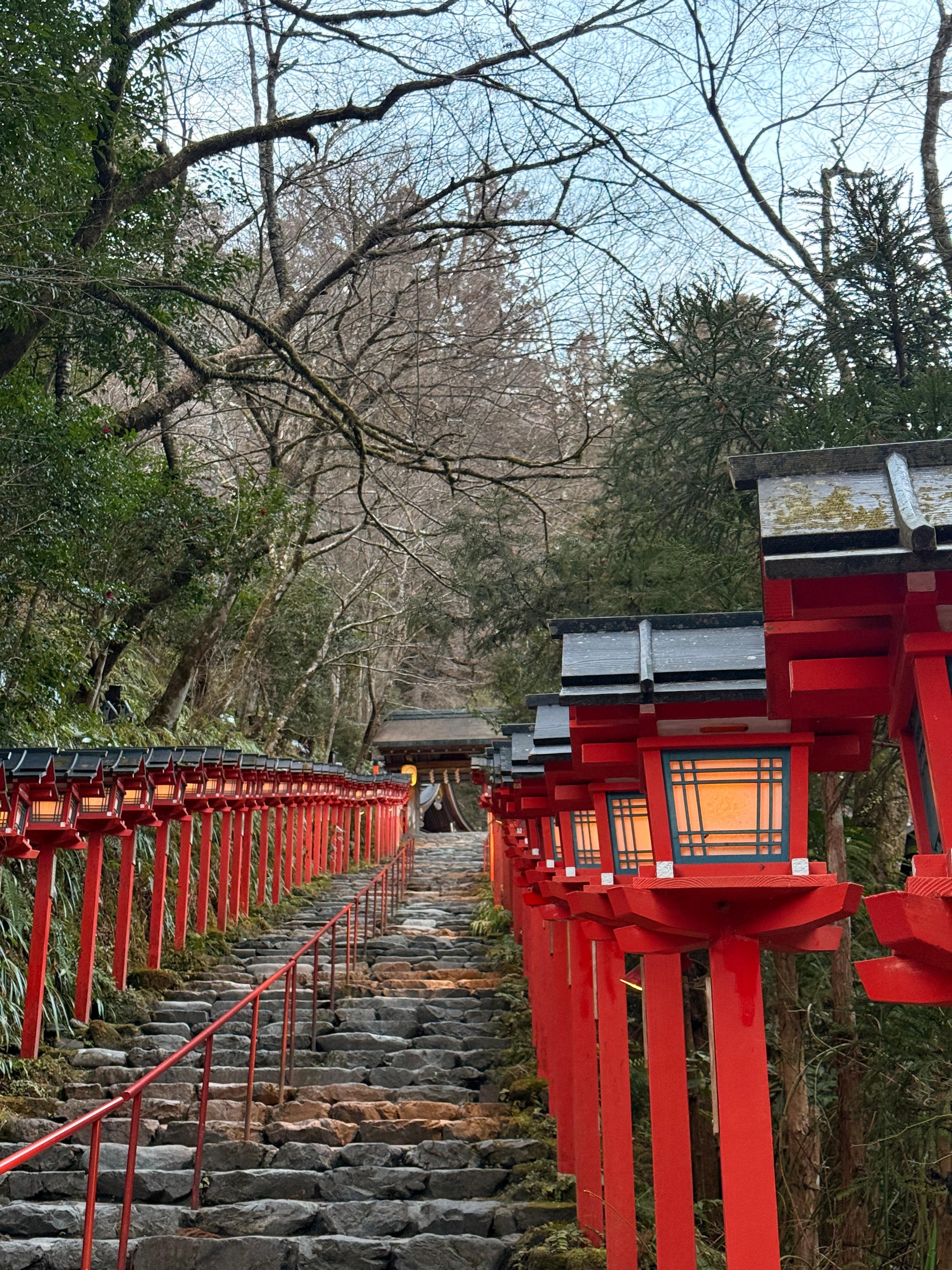 Kyoto Private Day Tour with Guide & Vehicle