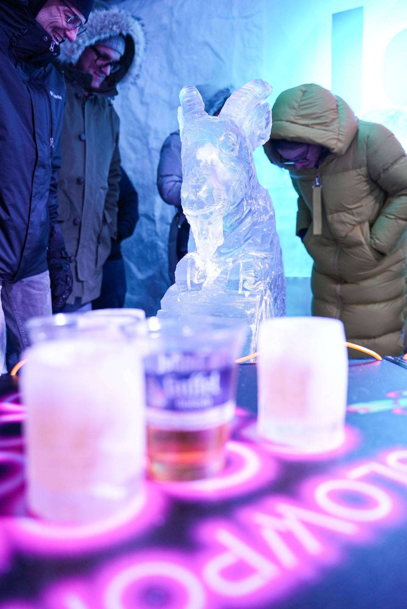Cologne IceBar Experience with Drinks