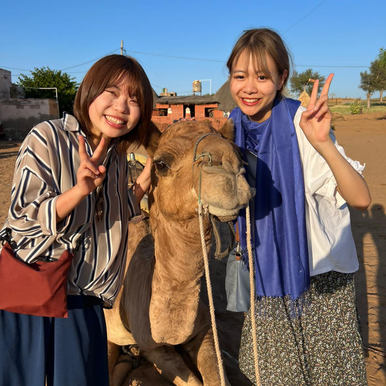 Jodhpur: Thar Desert Camel & Jeep Safari with Traditional Dining