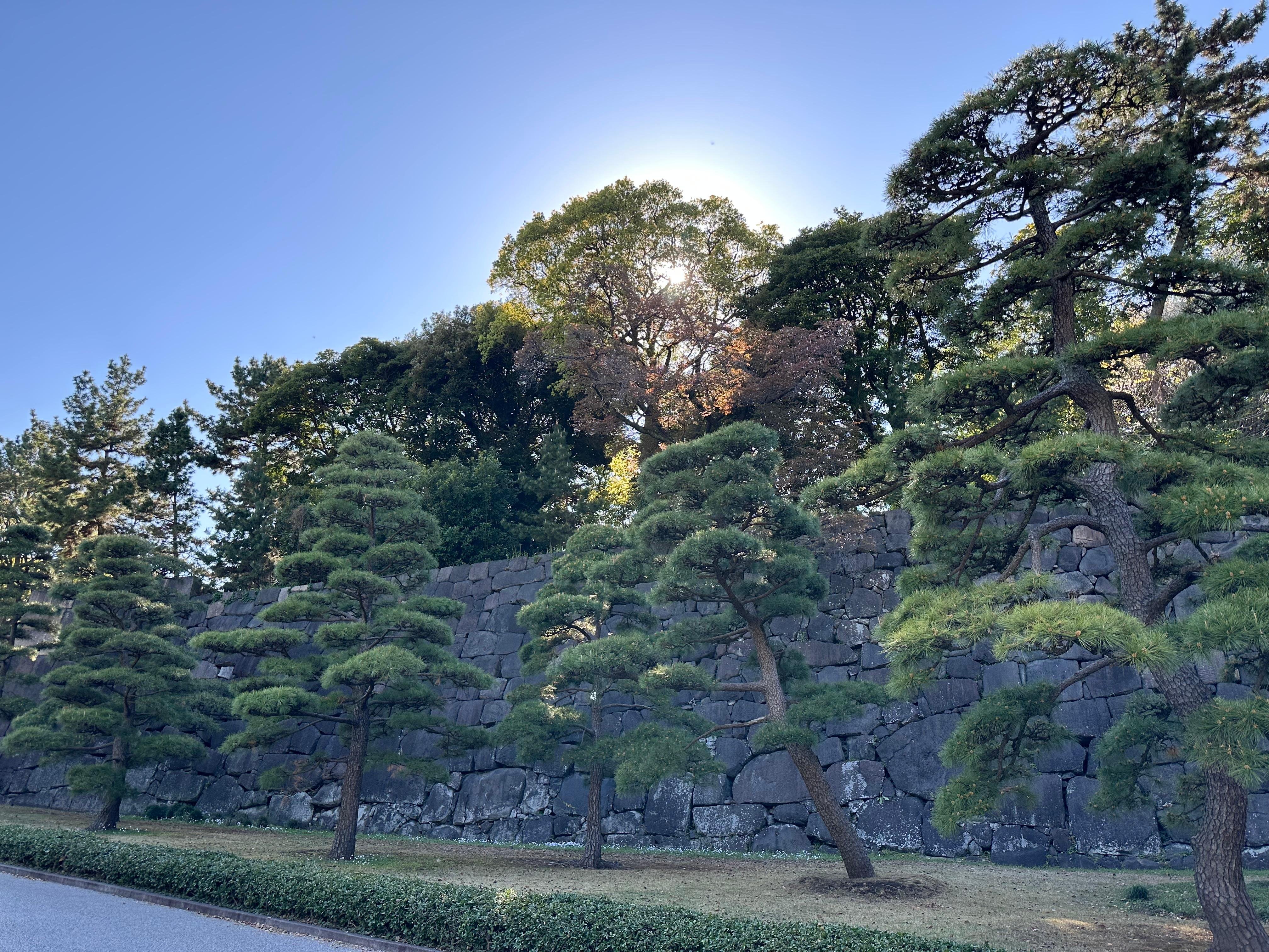 Tokyo Imperial Palace & Shogun History Walking Tour