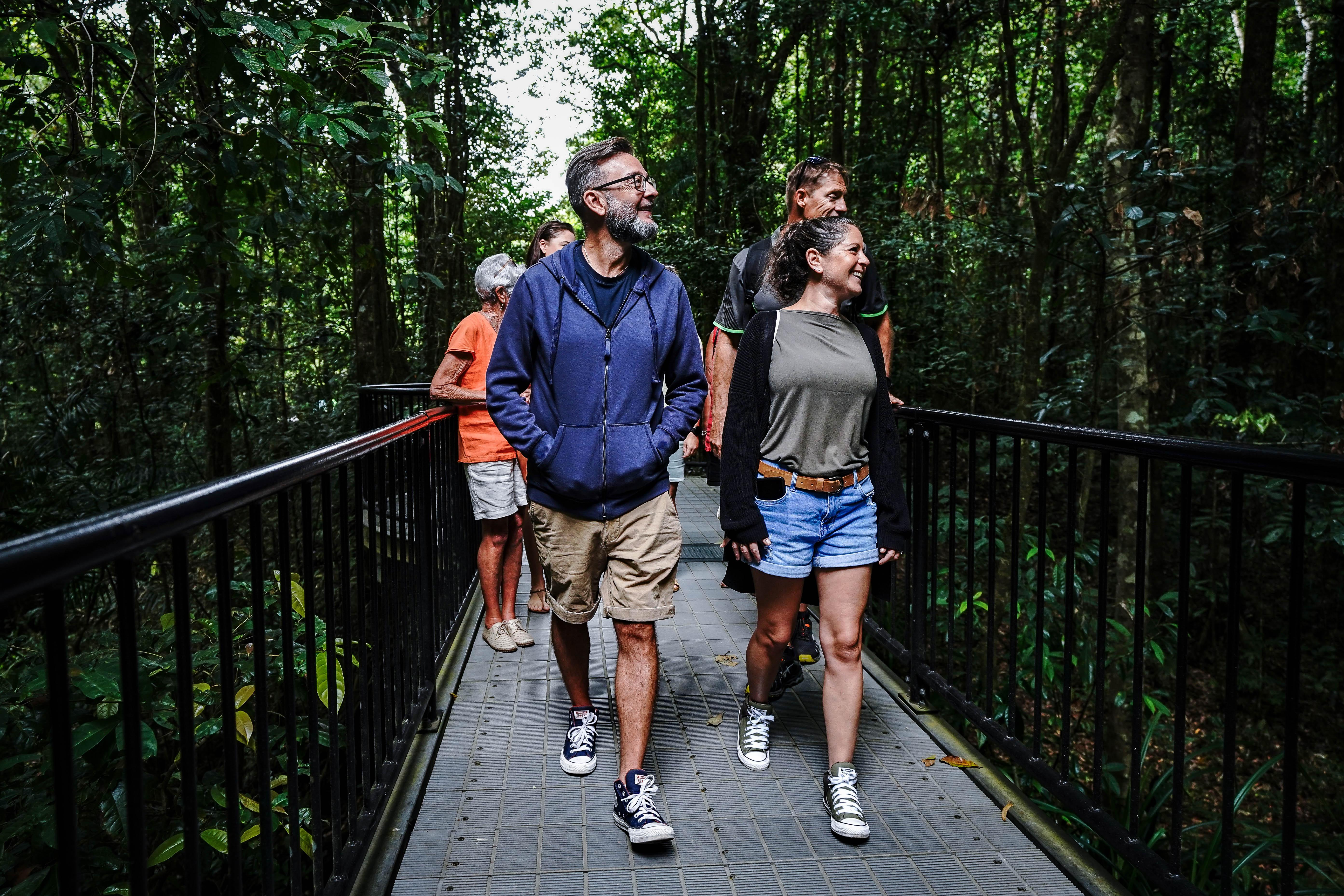 Half-Day Daintree Rainforest & Wildlife Cruise