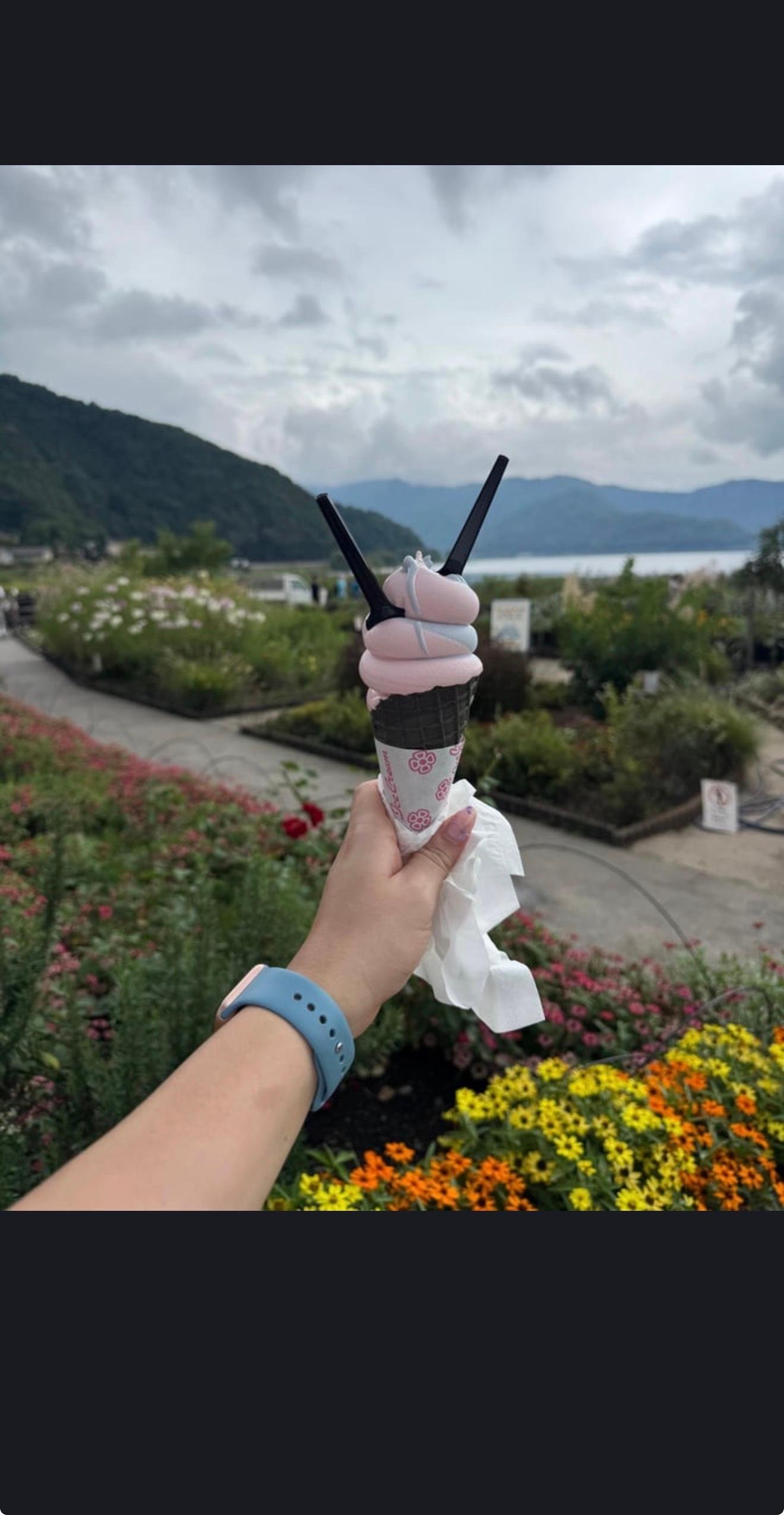 Private Mount Fuji Custom Day Trip from Tokyo