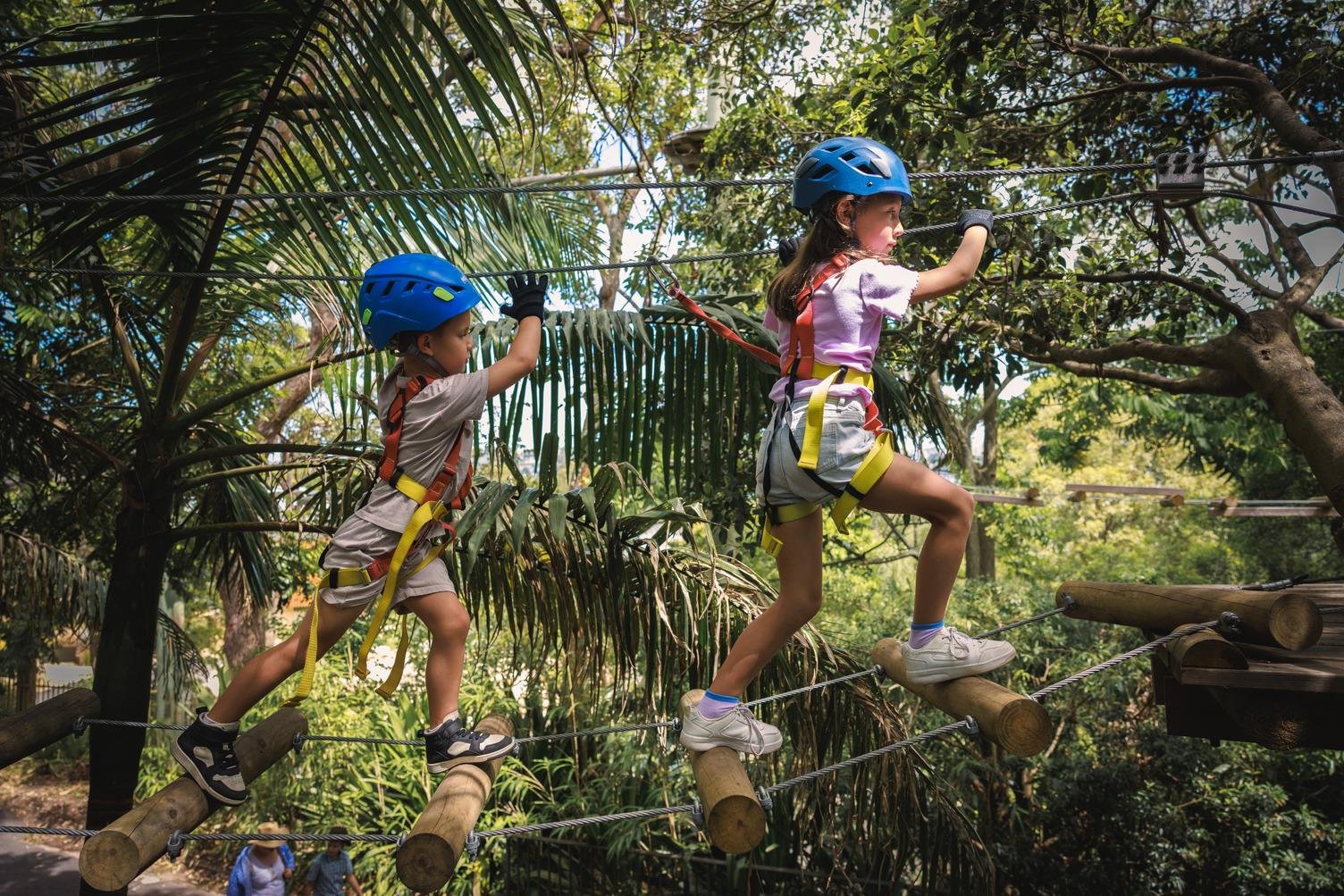 Hollybank Junior Tree Ropes Course