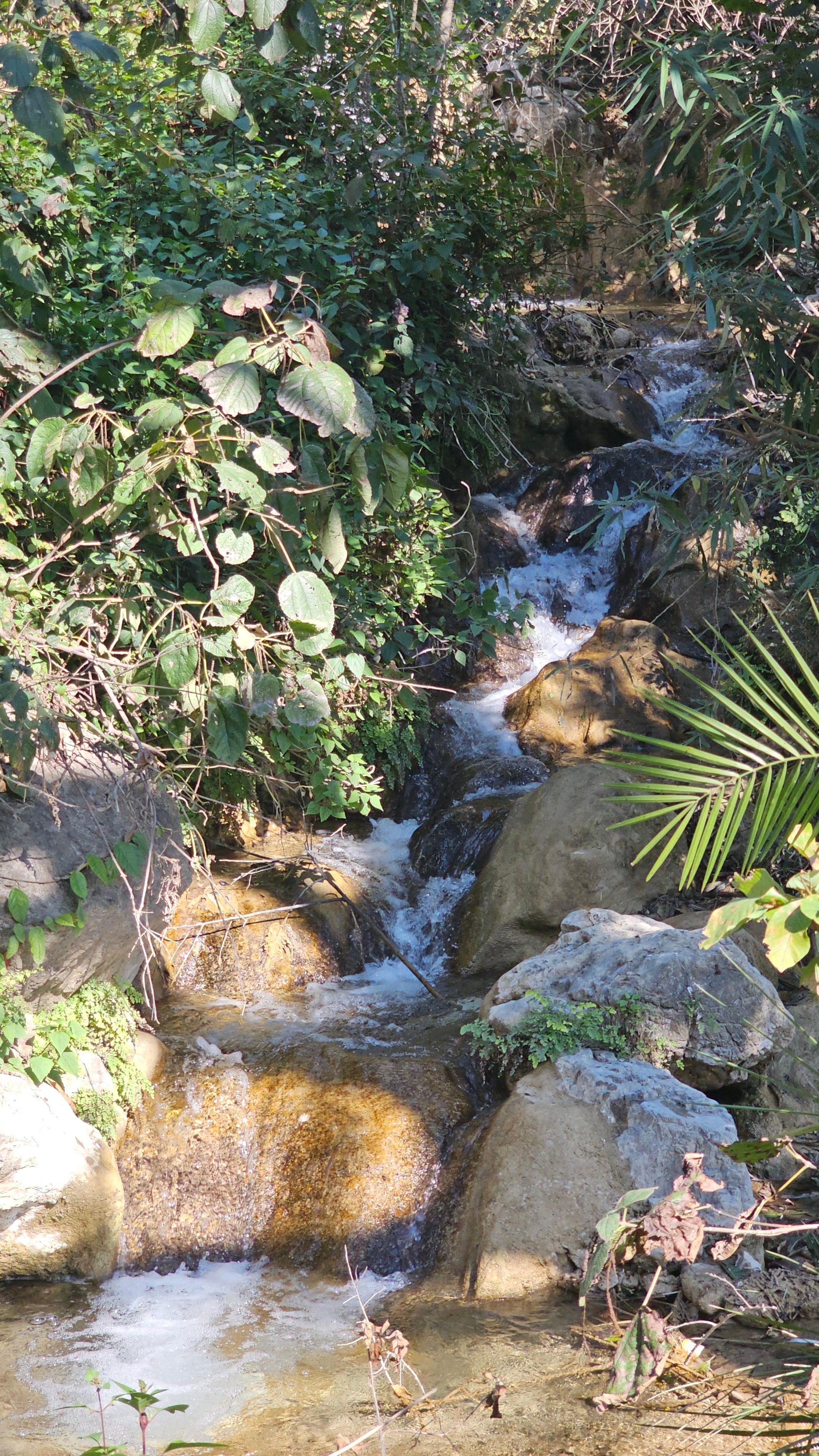 Kunjapuri Himalayan Sunrise Trek & Waterfall Hike