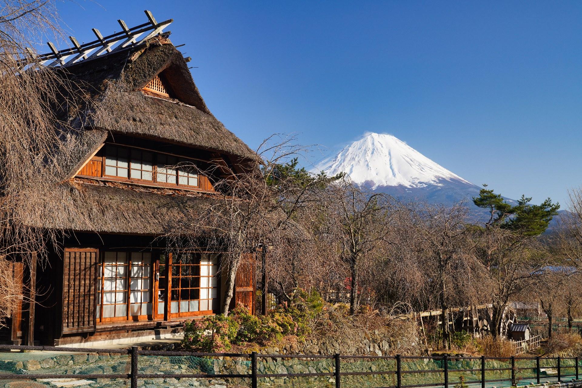 Mt. Fuji Day Tour: Lake Kawaguchi, Oshino Hakkai & Chureito Pagoda from Tokyo