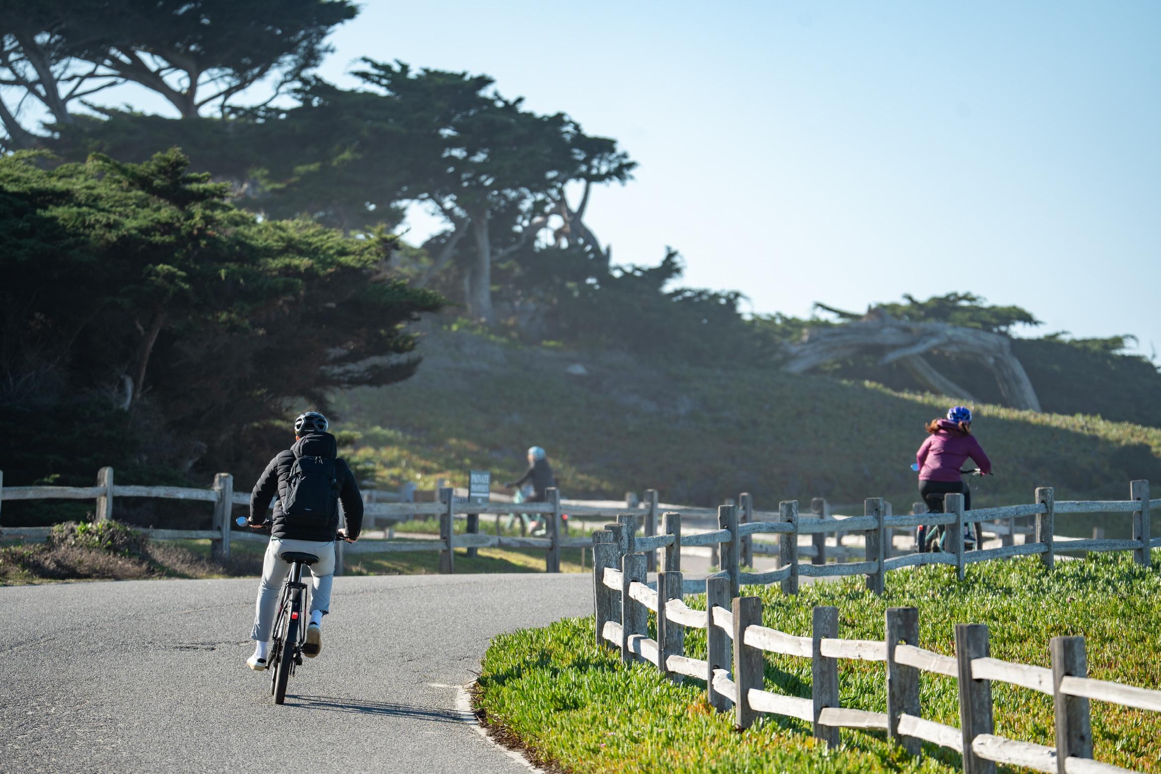 Monterey: 17-Mile Drive Guided E-Bike Tour