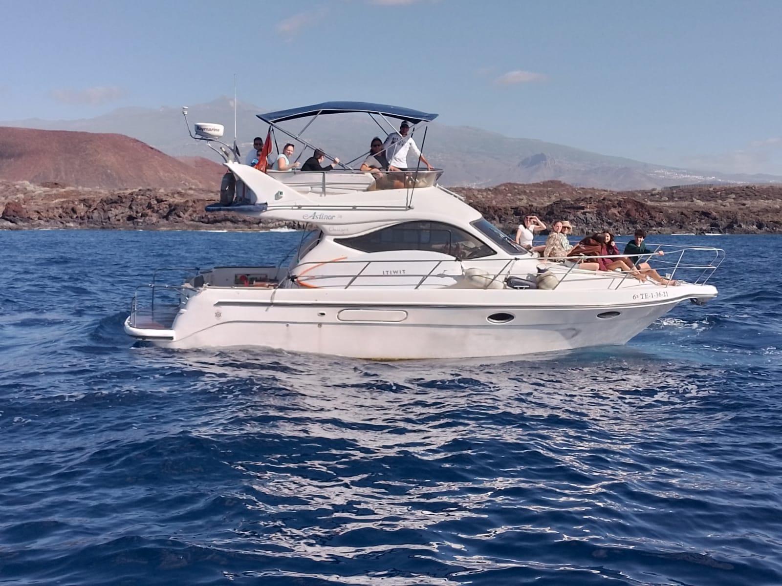 Luxury Whale Watching Safari in South Tenerife