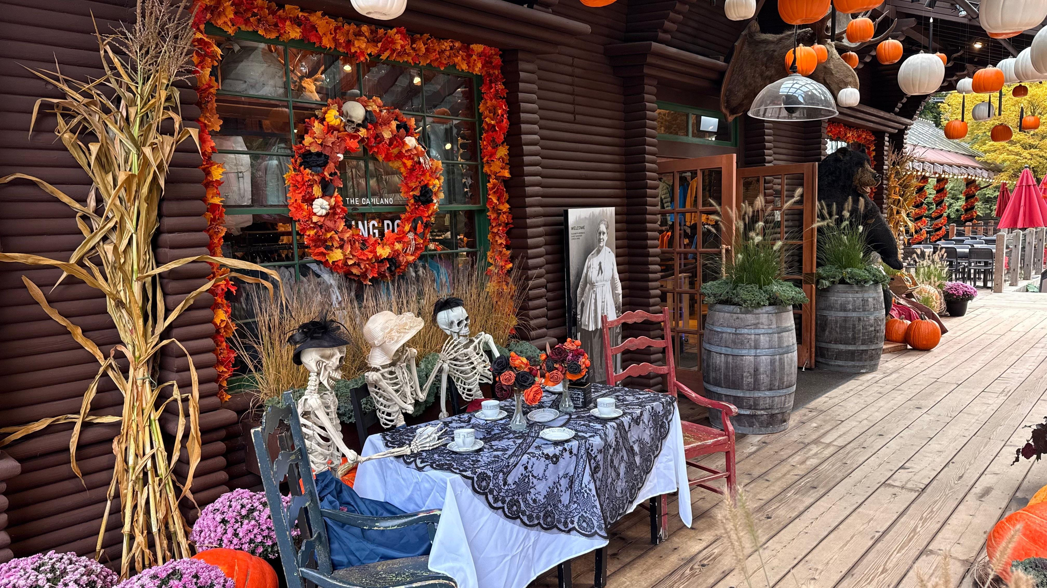Capilano Suspension Bridge & Stanley Park Small Group Tour