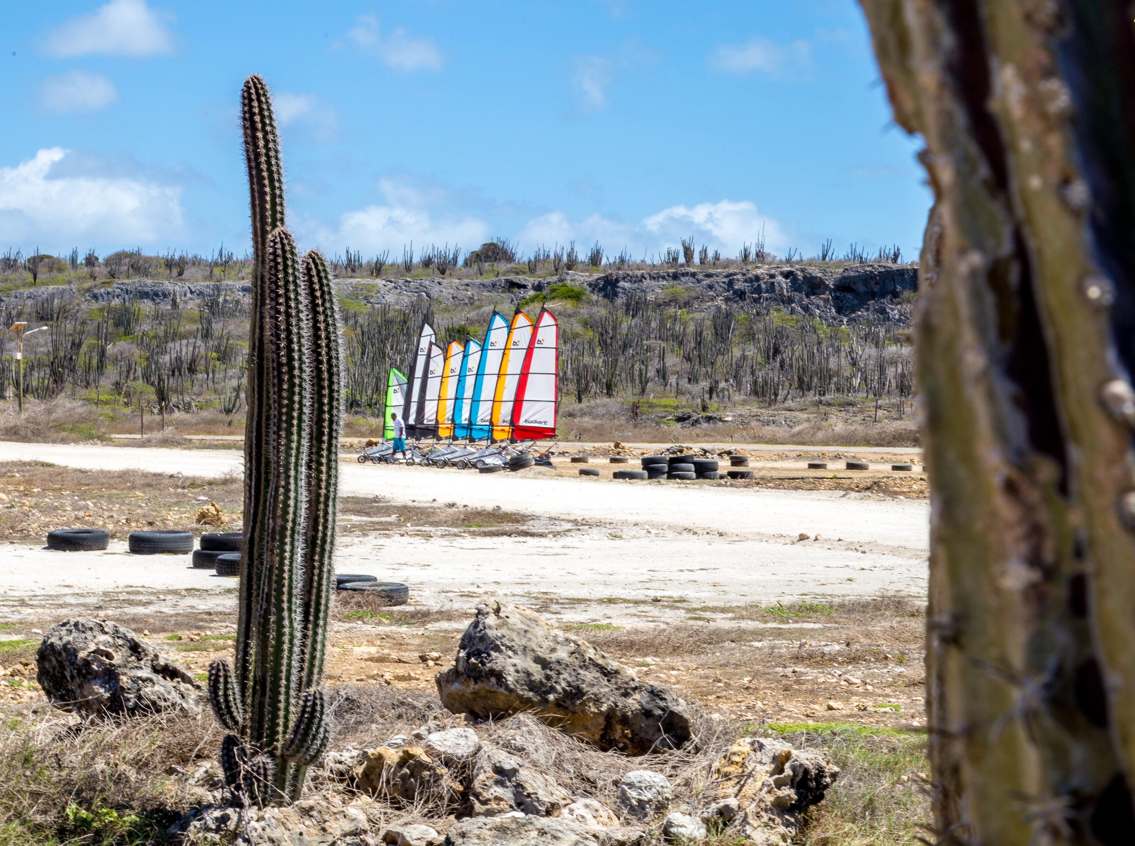 Caribbean Blokart Wind Sailing Experience