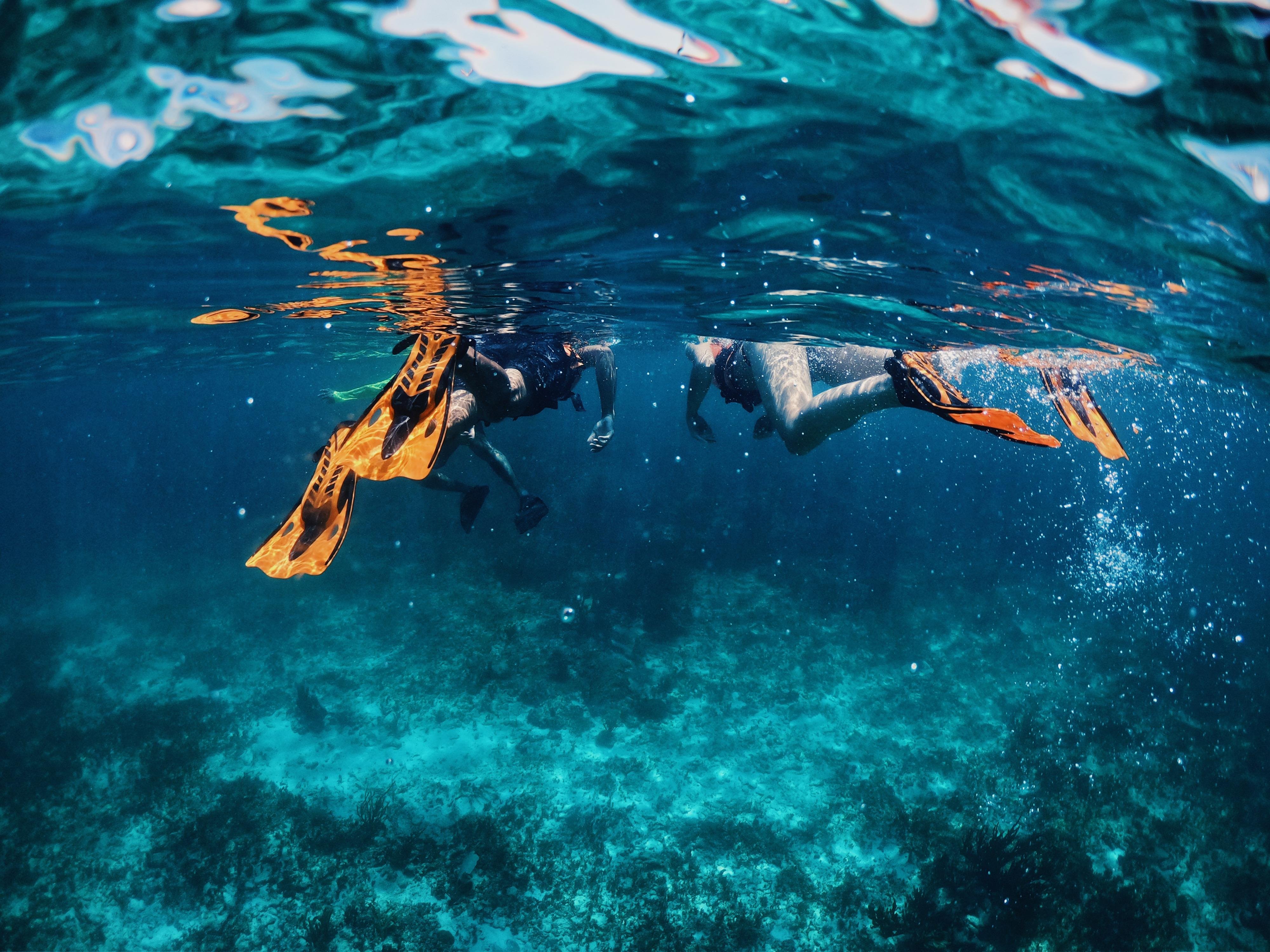 Tulum Sailing & Reef Snorkel Adventure