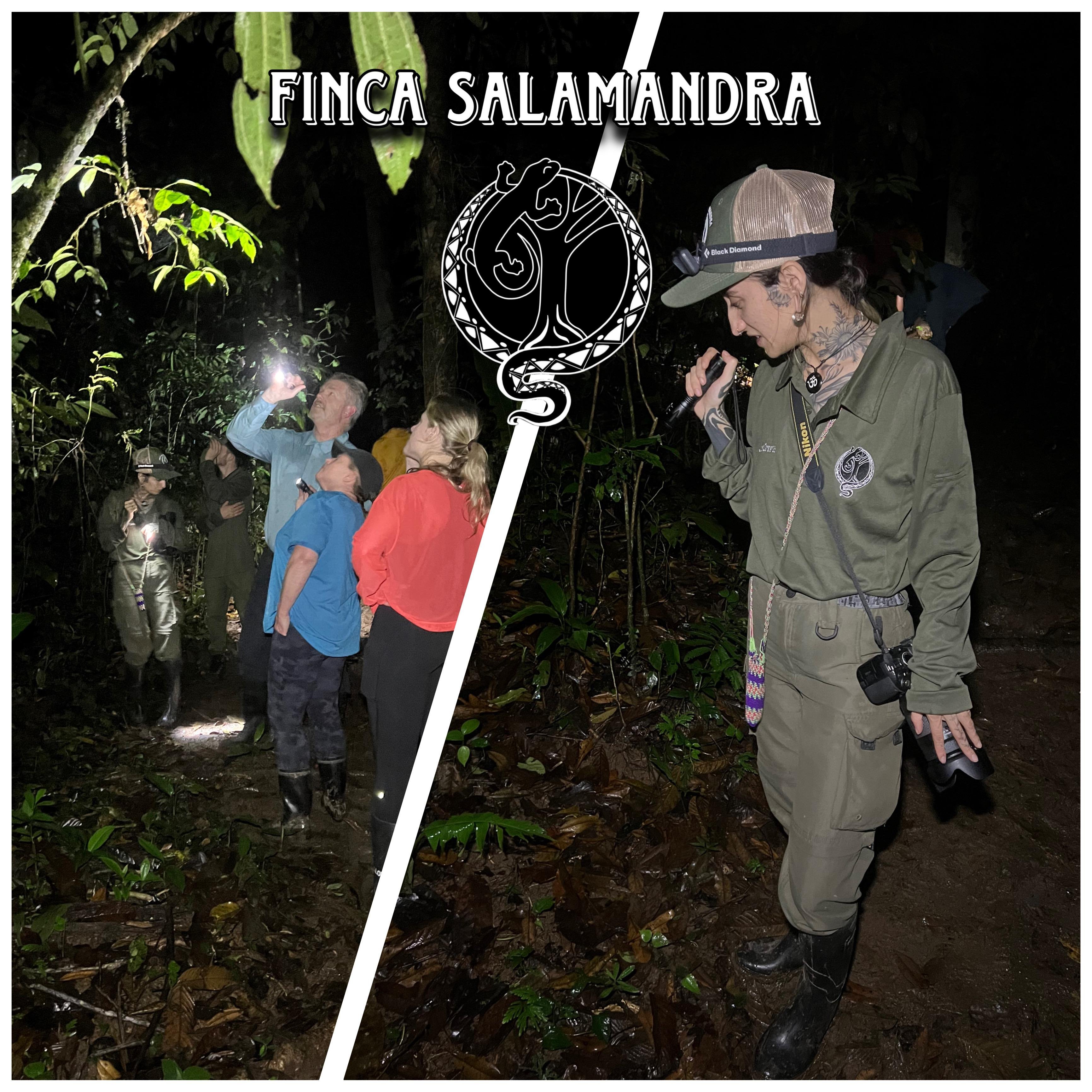 Private Jungle Night Safari in Manuel Antonio