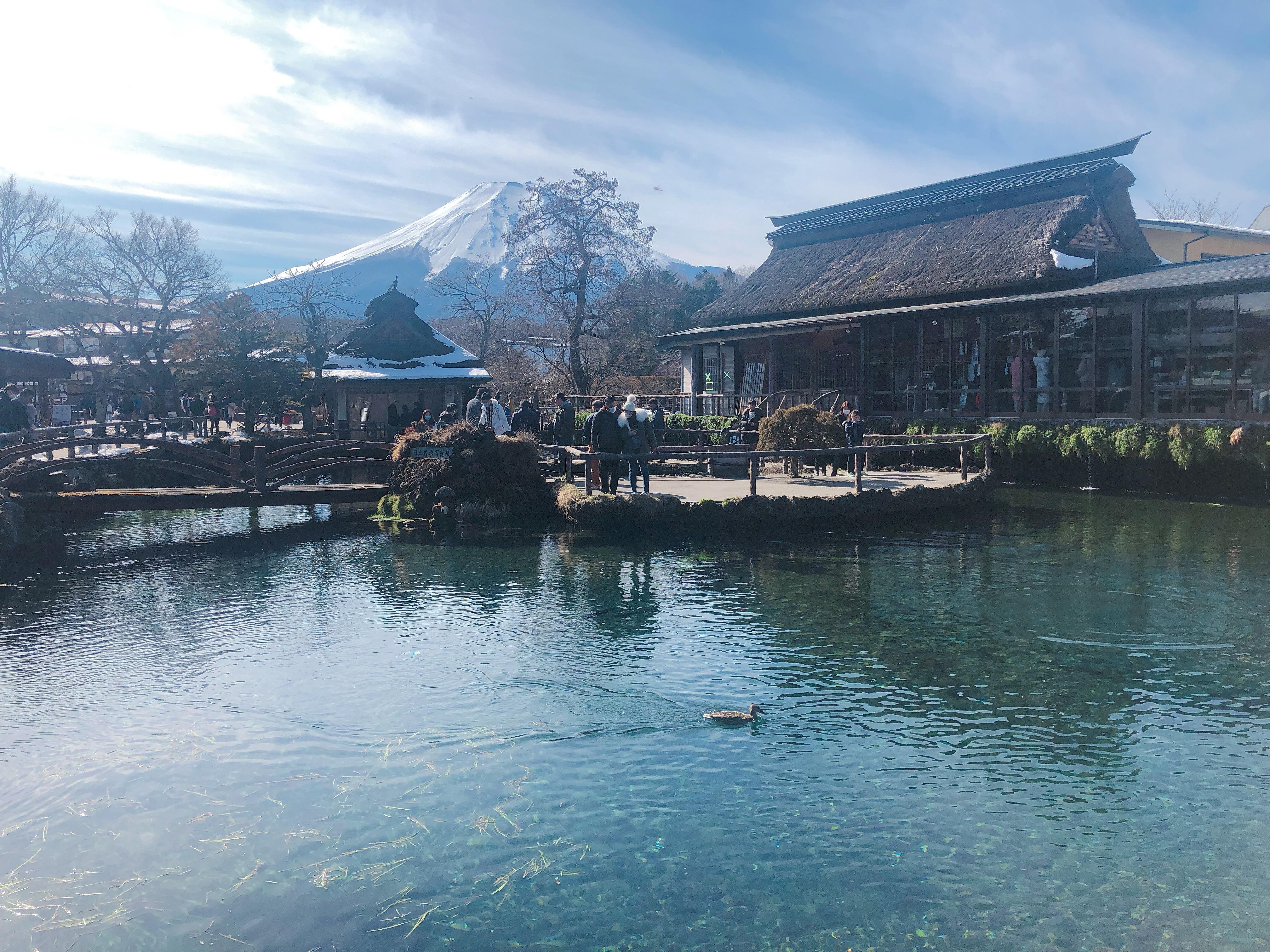 Mt. Fuji & Hakone Day Tour with Bullet Train Return from Tokyo