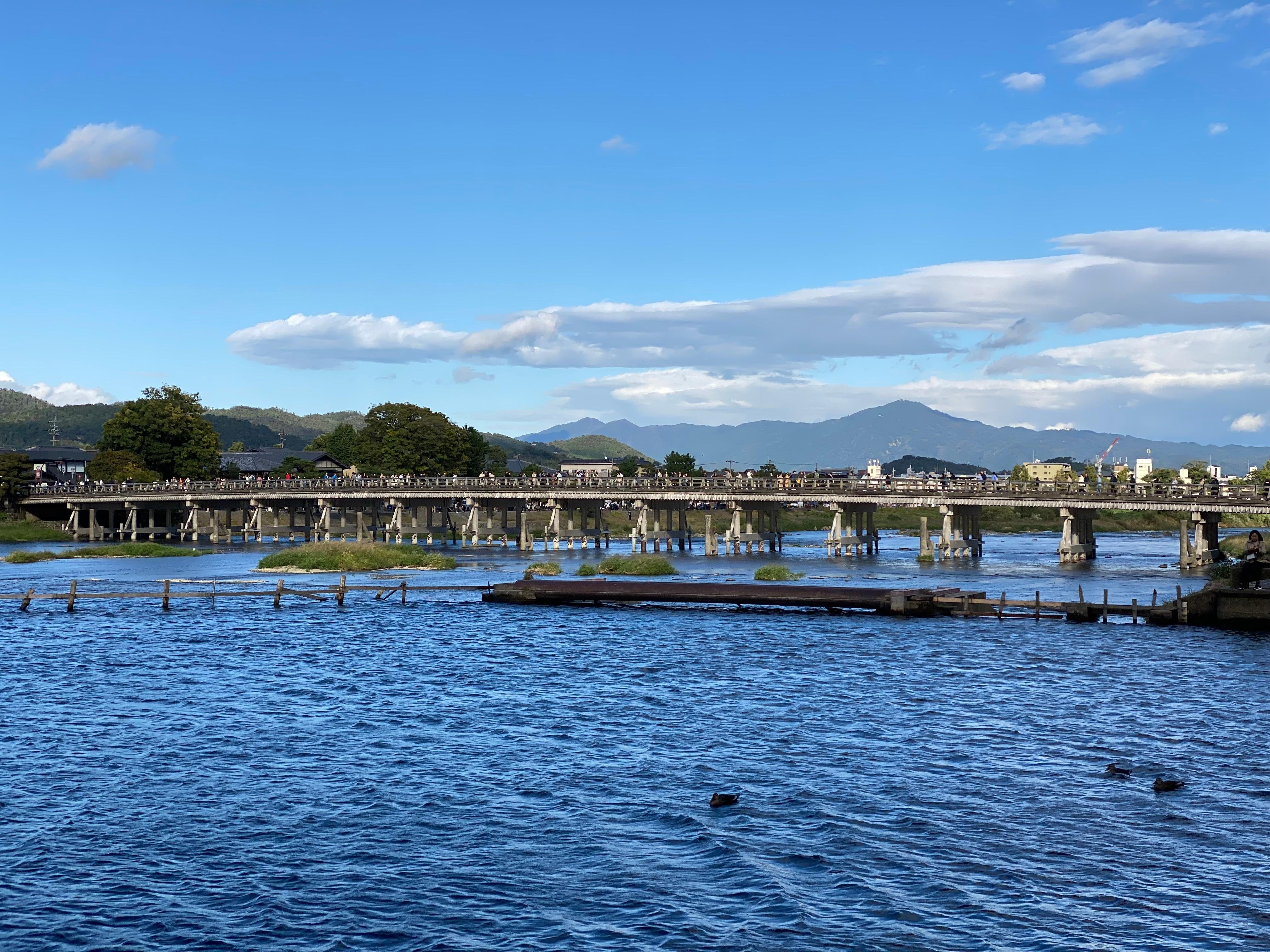 嵐山竹林 早朝サイクリングツアー
