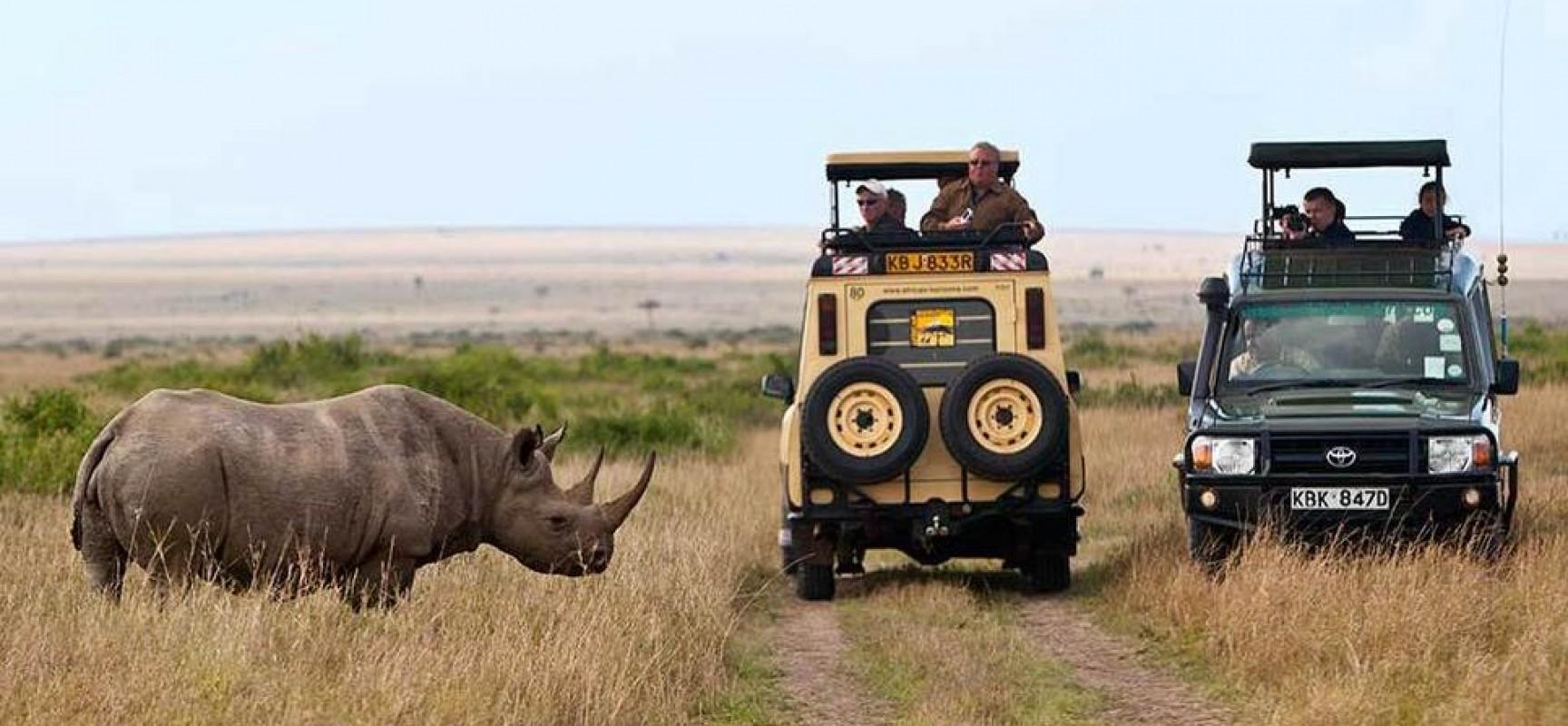 4-Day Masai Mara & Lake Nakuru 4WD Camping Safari