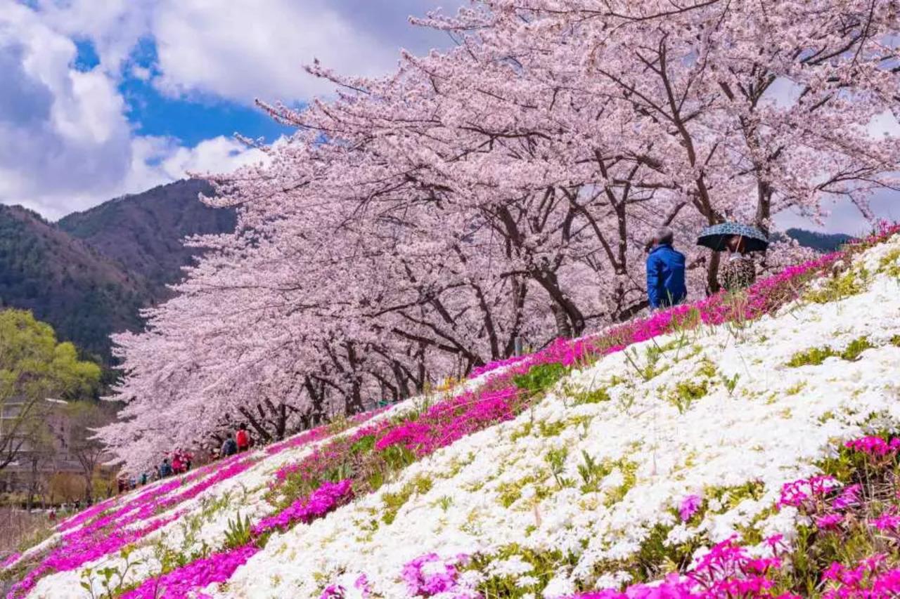 Mt. Fuji Day Tour: Scenic Stops & Lake Kawaguchi Cruise from Tokyo