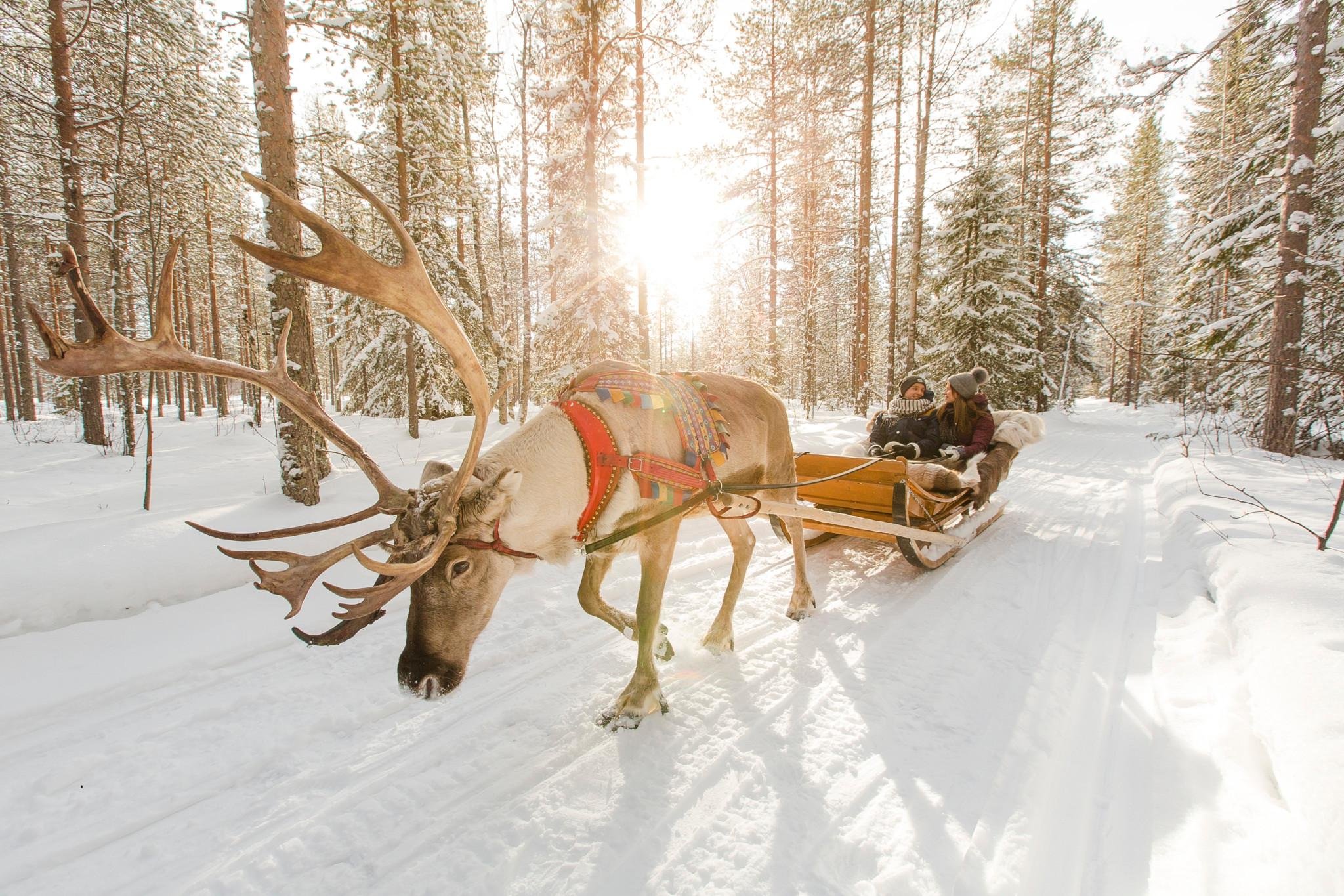 Santa Claus Village with Husky & Reindeer Sled Adventure
