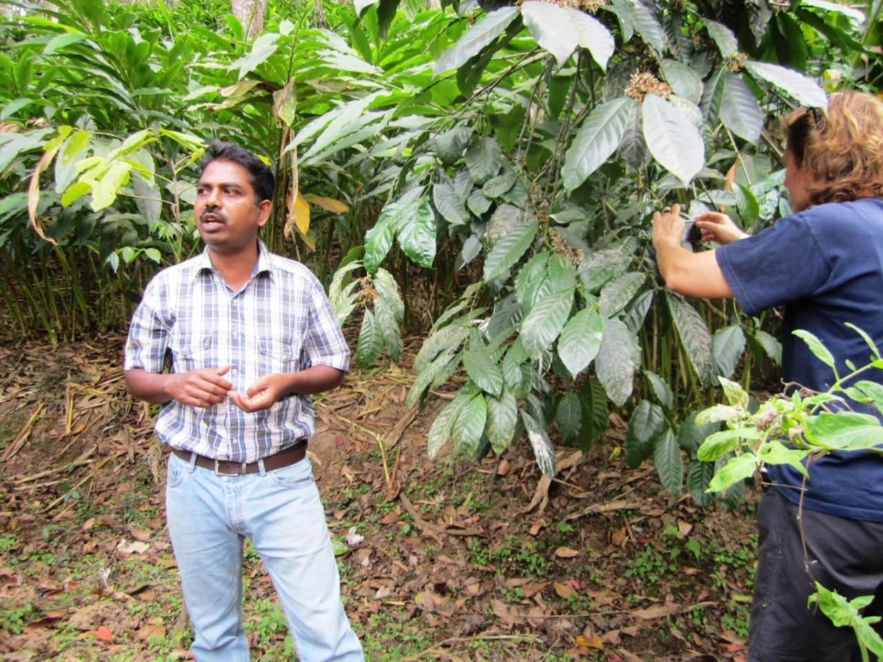 Thekkady Jeep Safari, Spice Farm & Cultural Experience